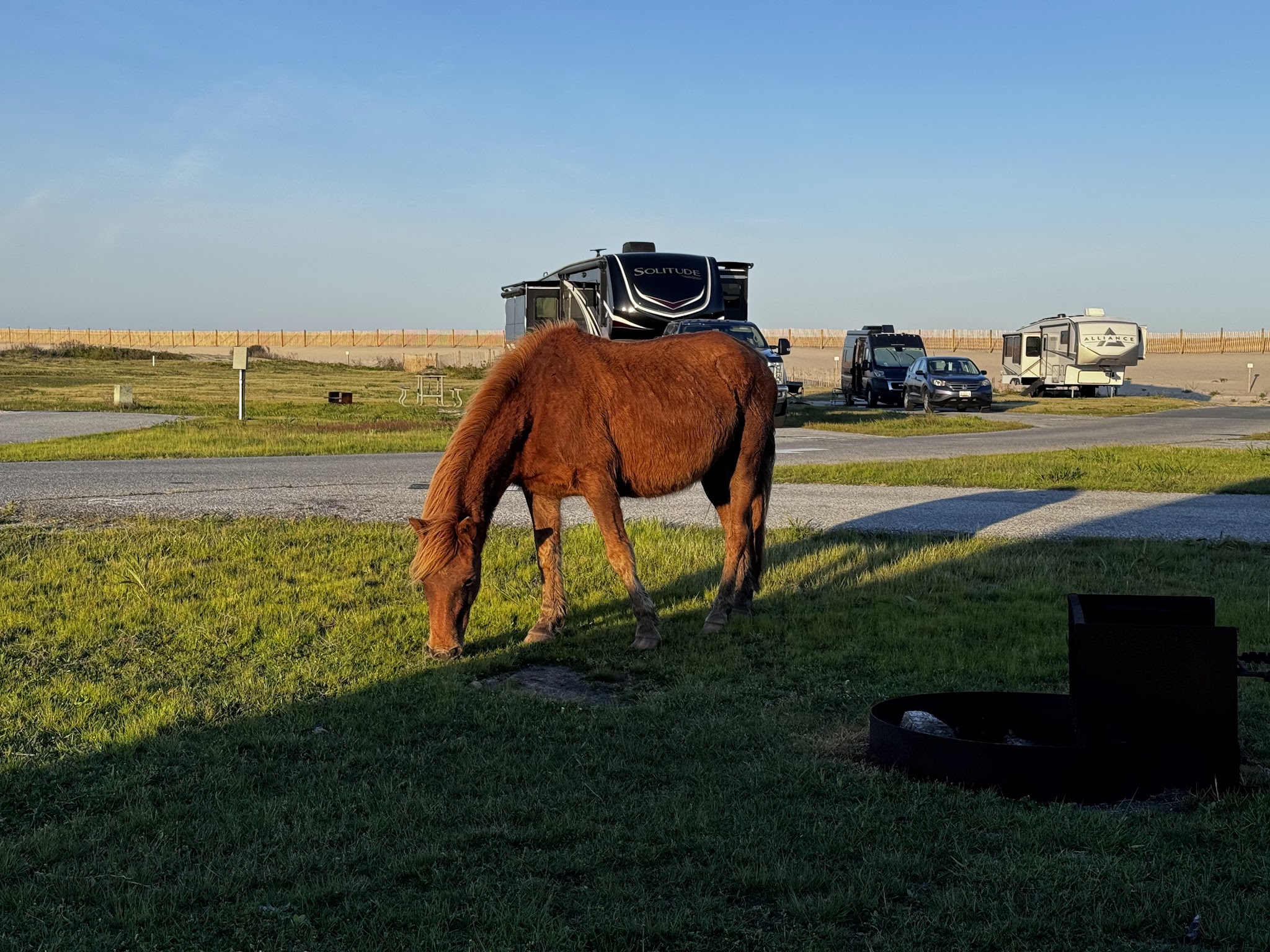 Assateague State Park