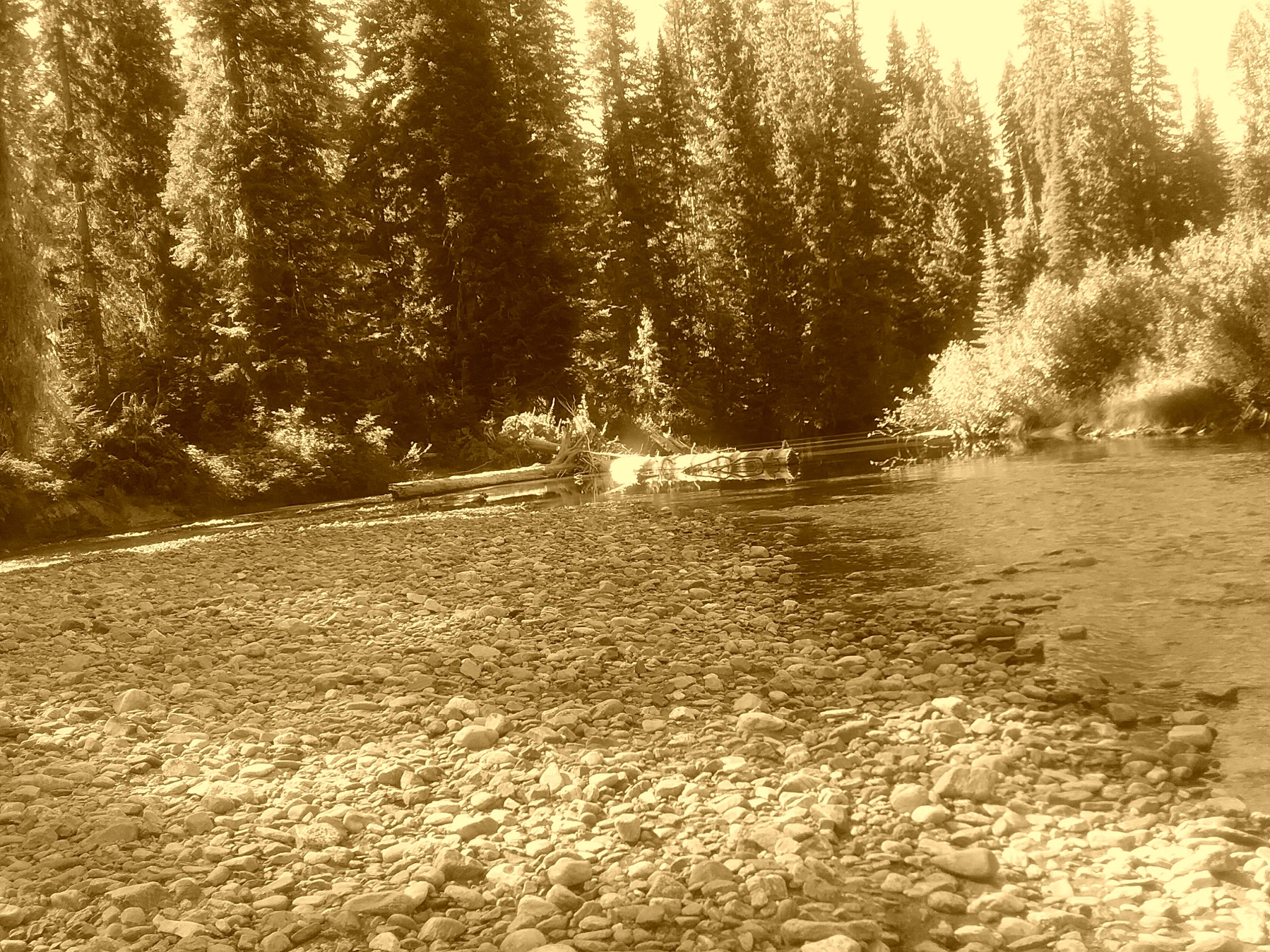 Atkinson Flat Campground