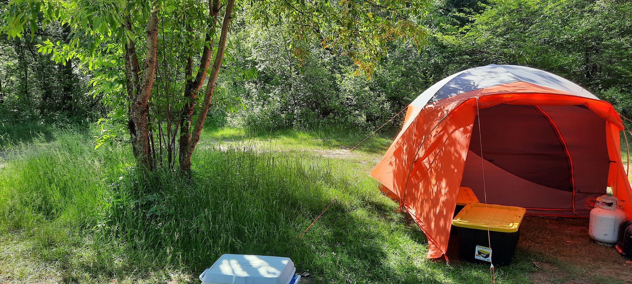 Au Sable Loop Campground And Day Use Area