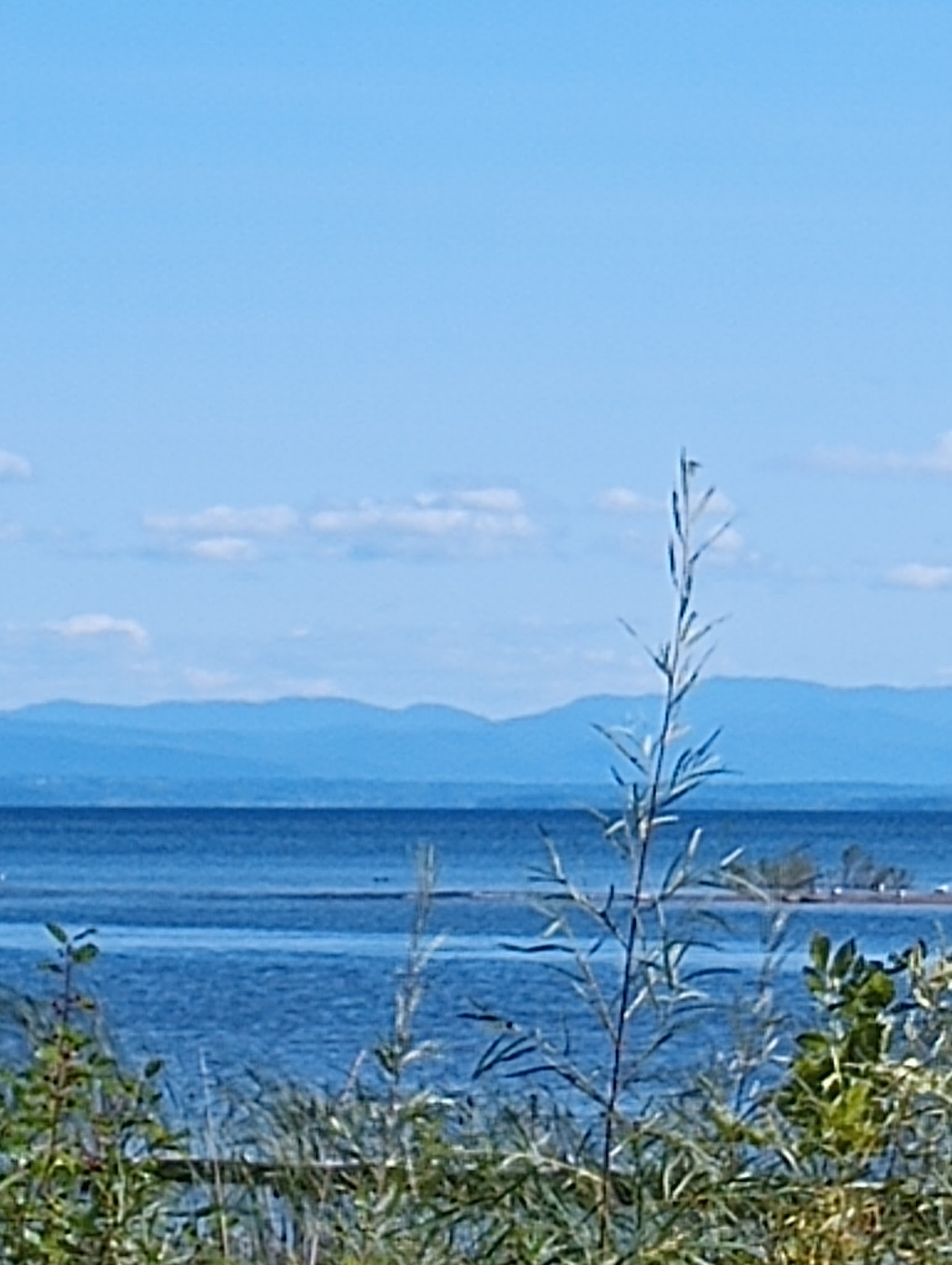 Ausable Point Campground