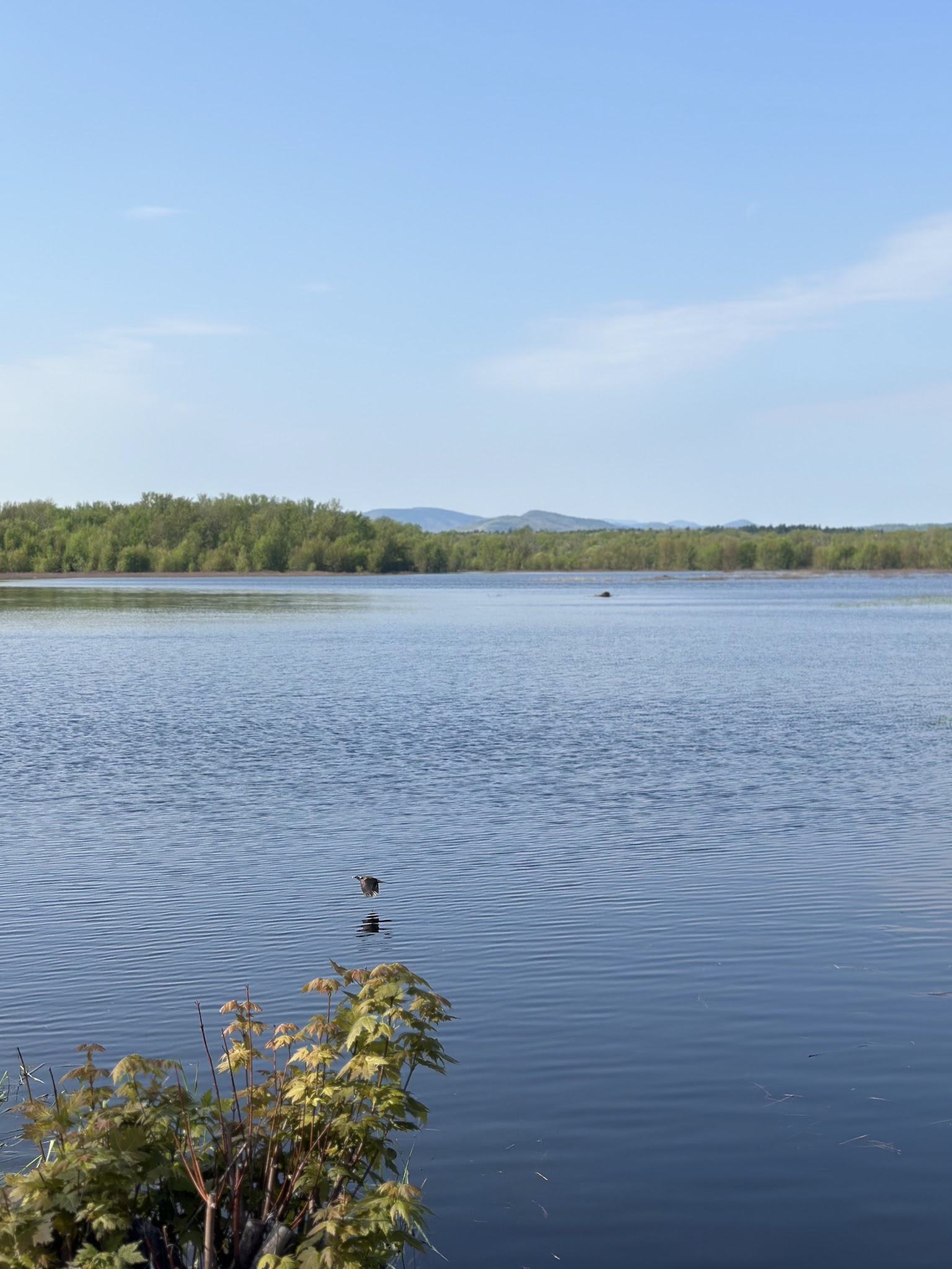 Ausable Point Campground