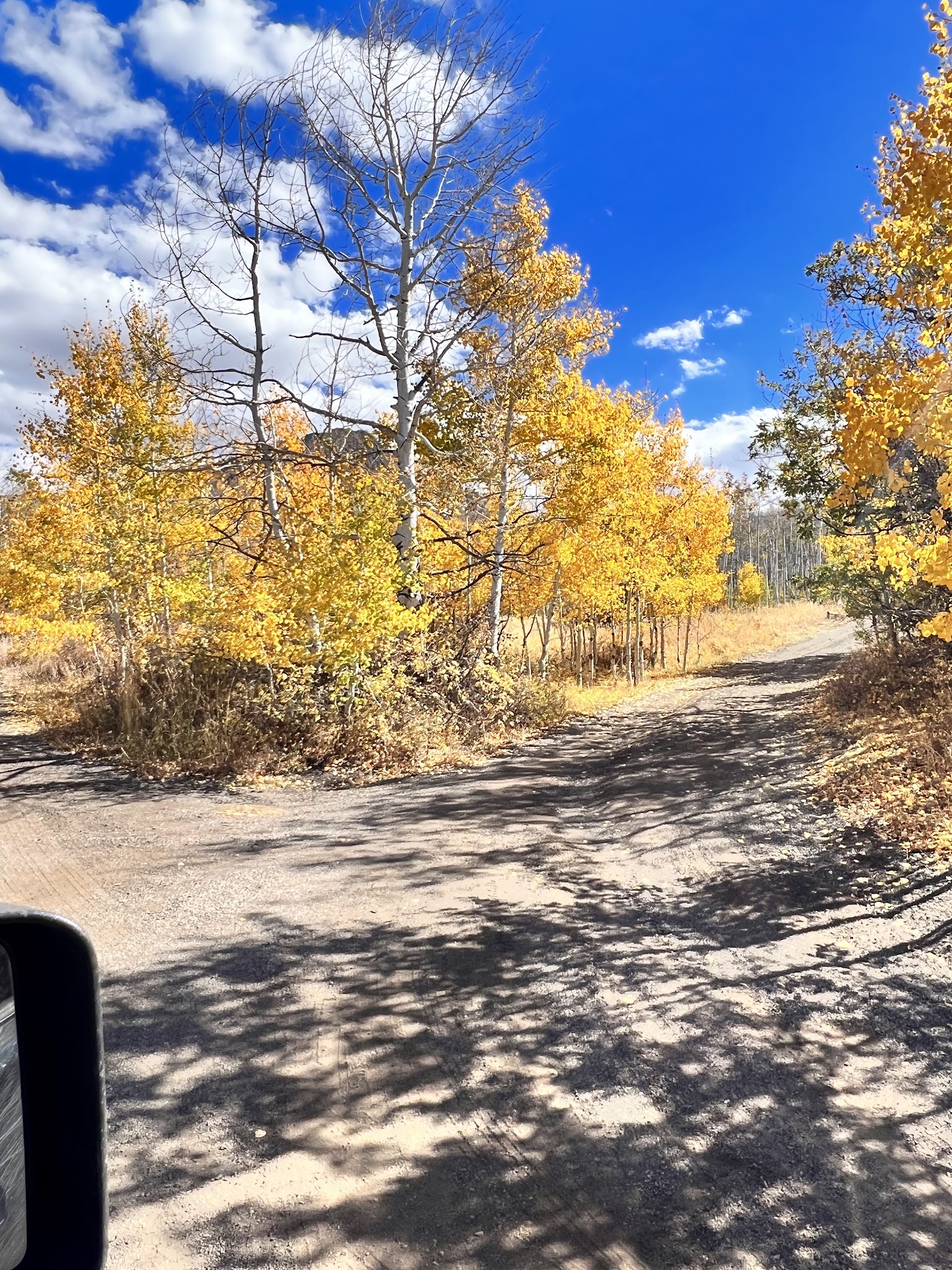 Mason Draw Campground