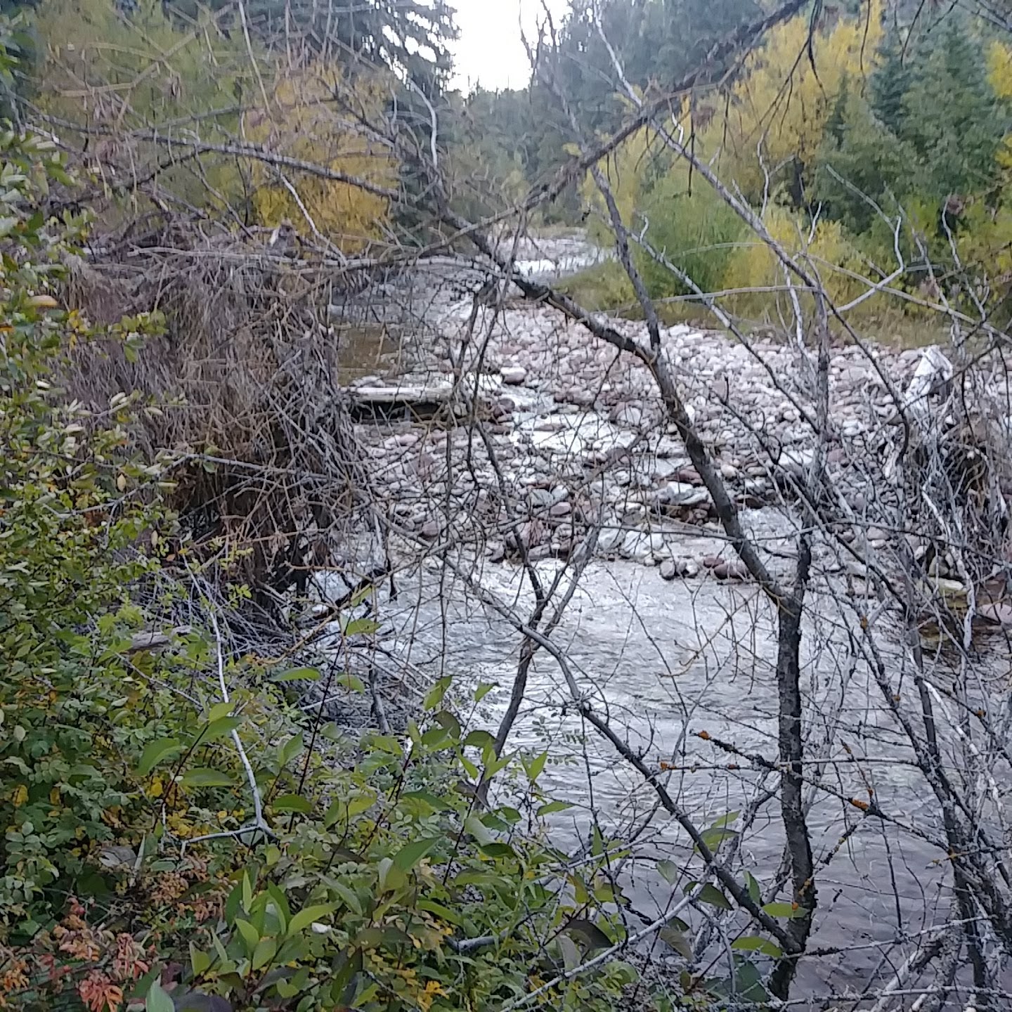 Avalanche Campground