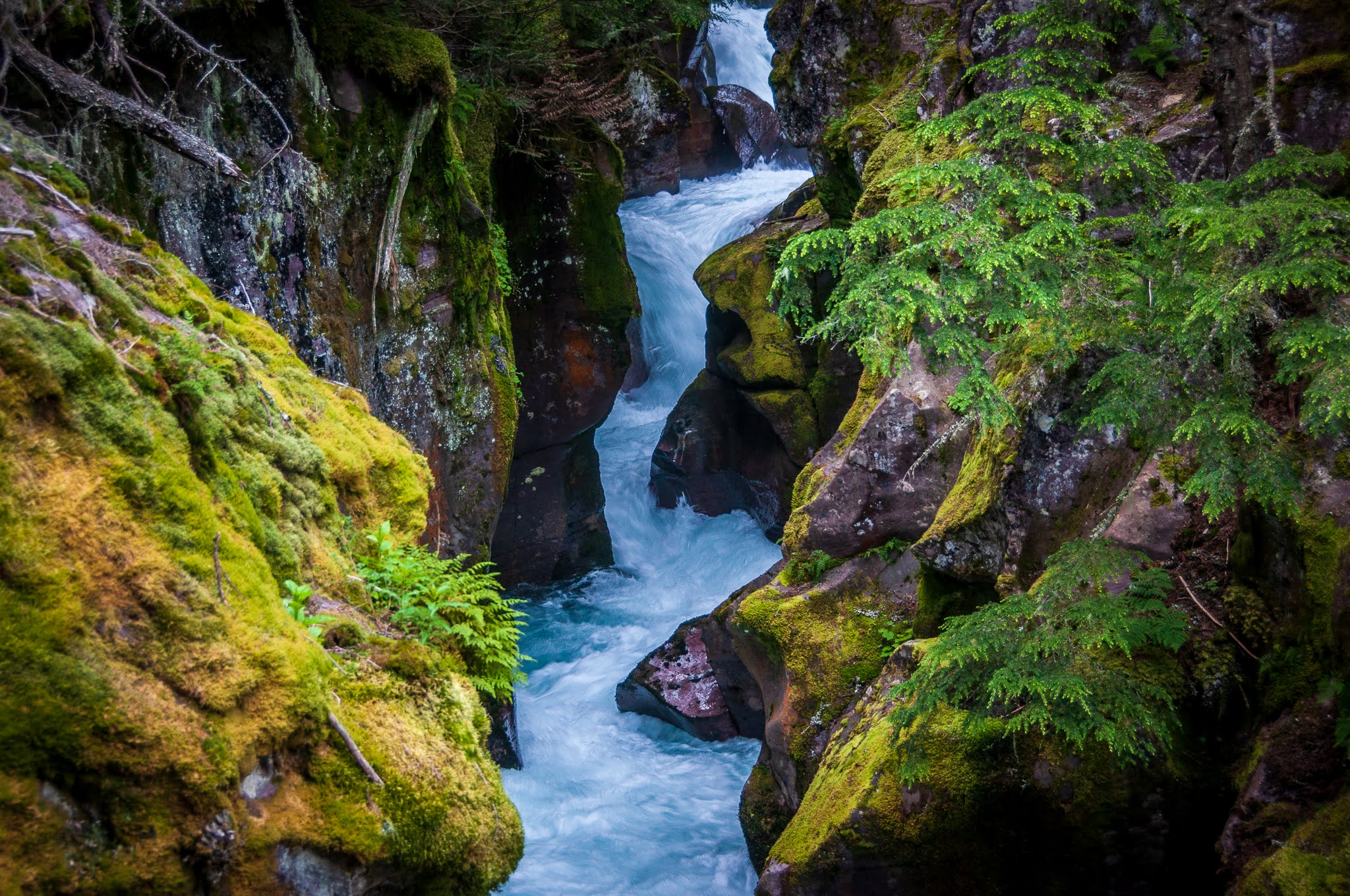 Avalanche Campground