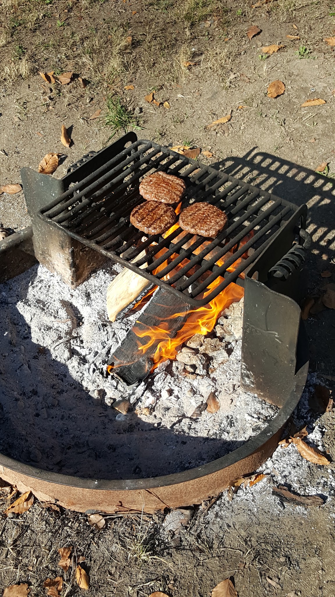 A.W. Marion Campground