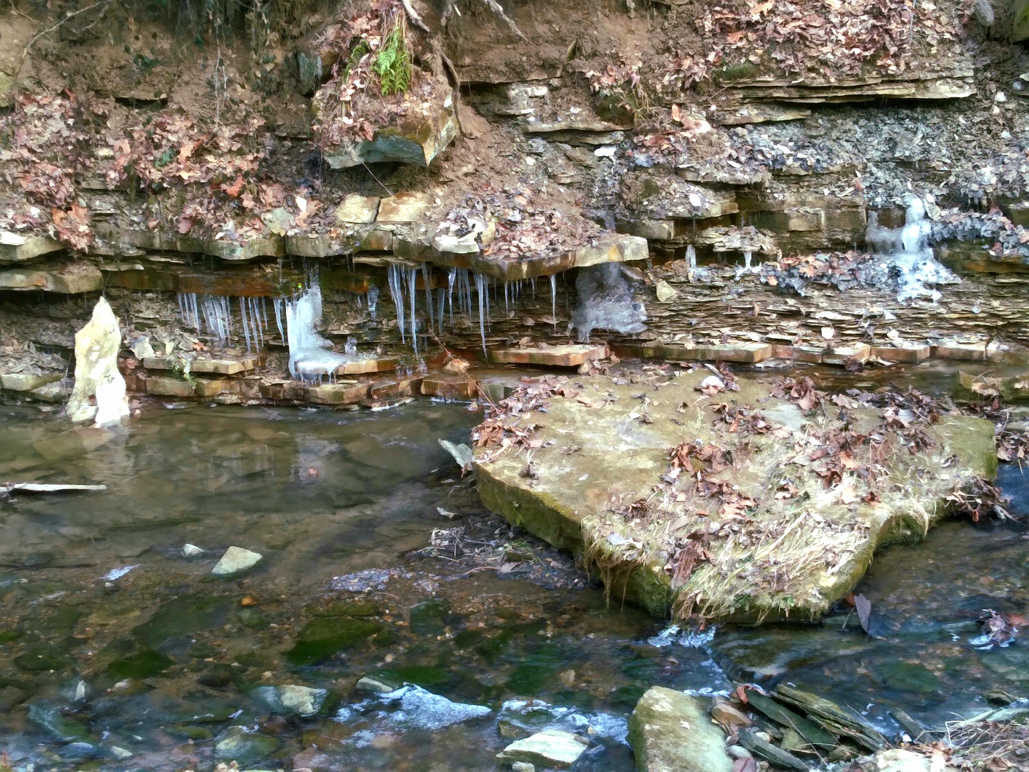 A.W. Marion Campground