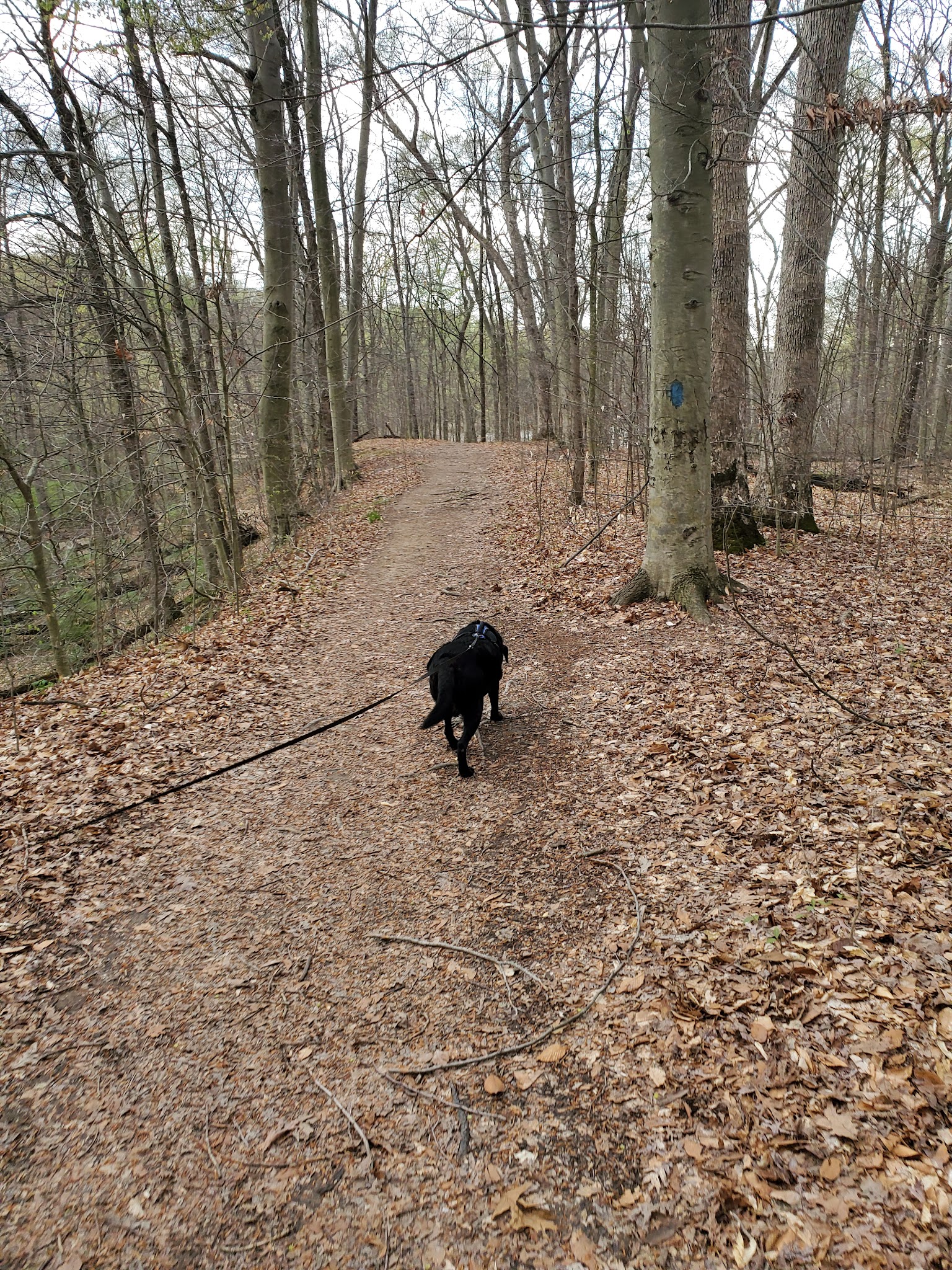 A.W. Marion Campground