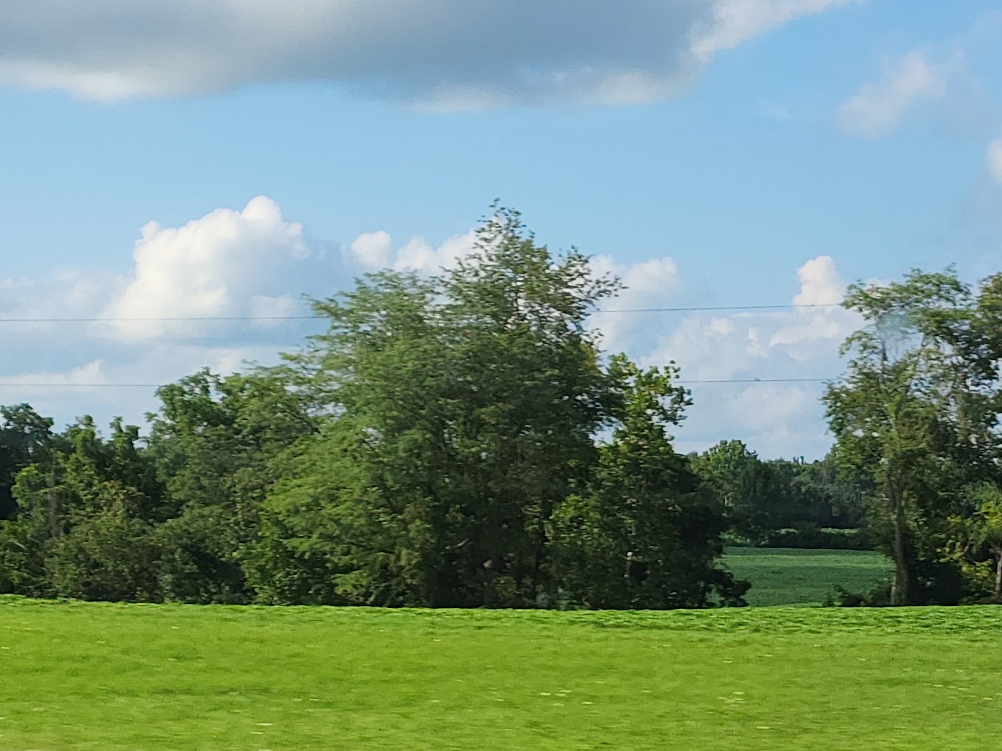 A.W. Marion Campground