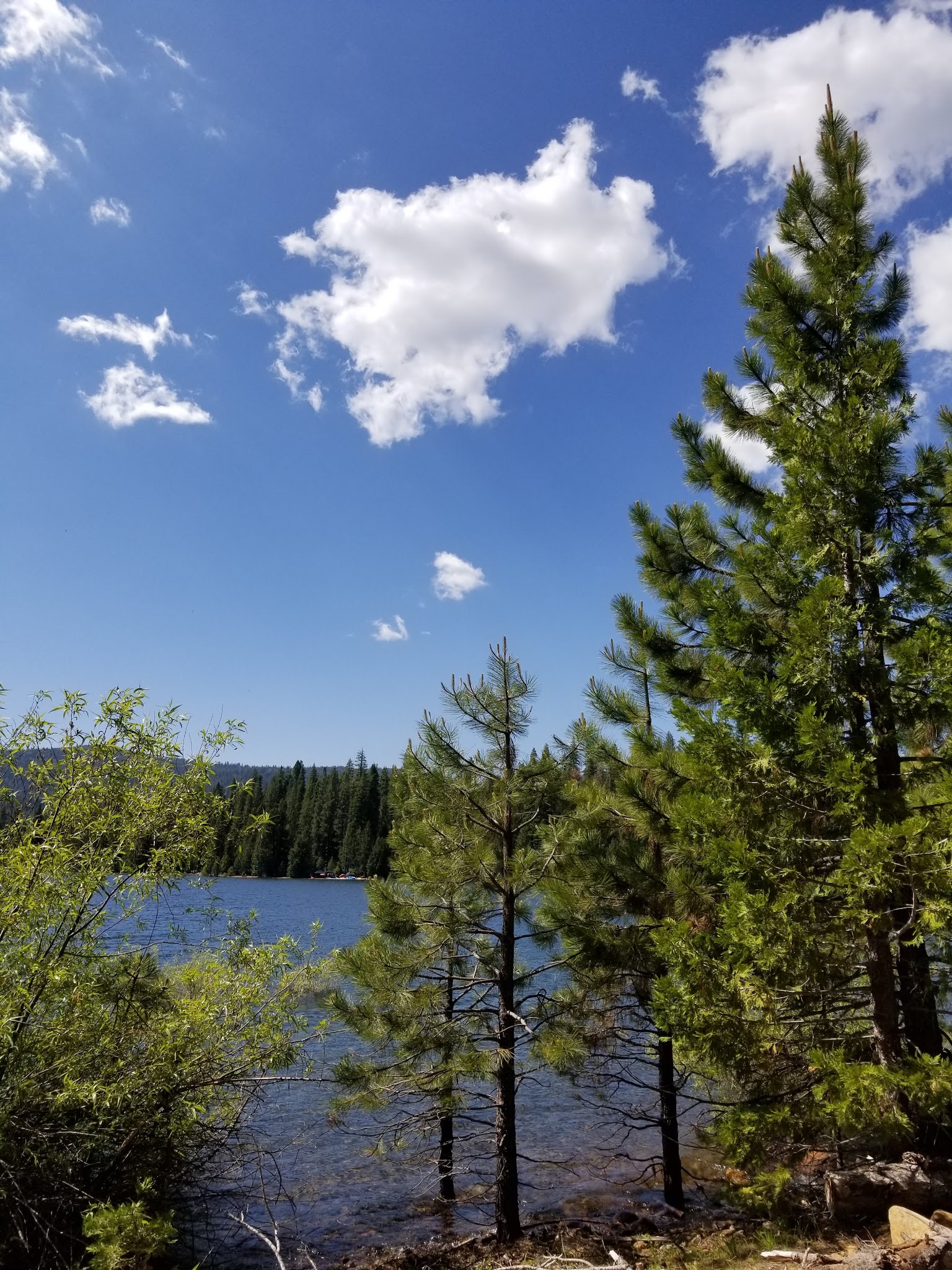 Azalea Cove Campground