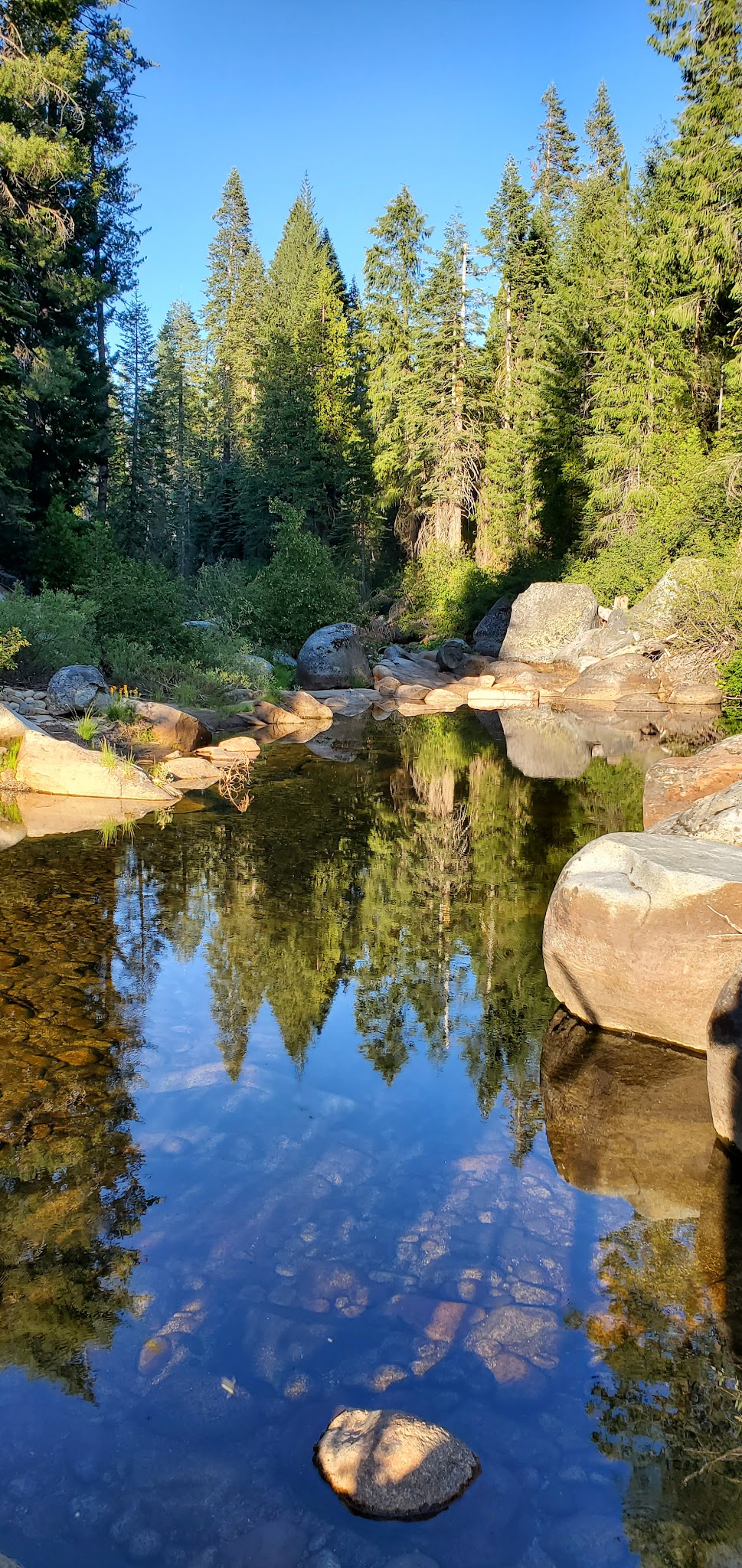 Azalea Cove Campground | CA | Camping Information & Reviews