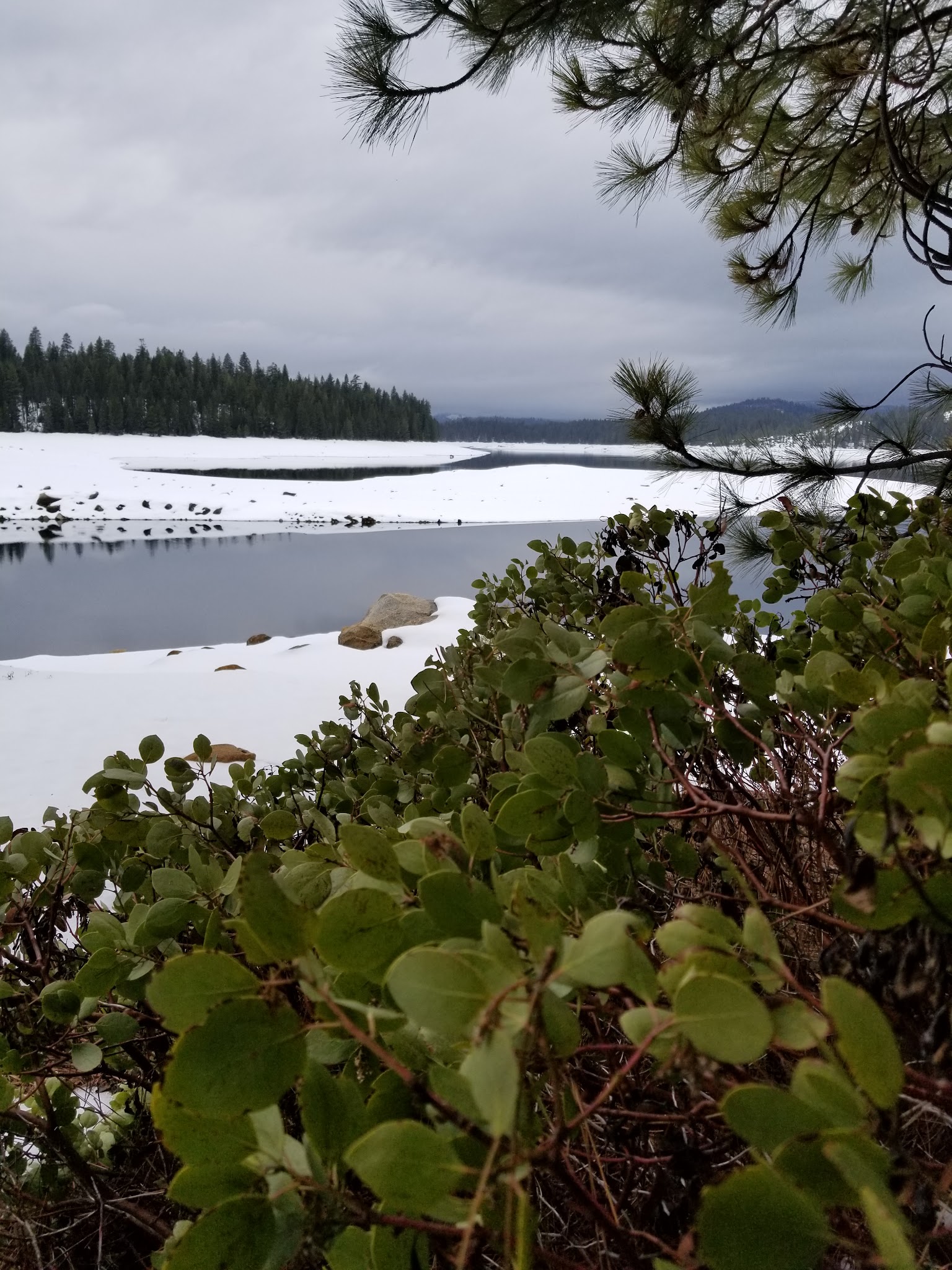 Azalea Cove Campground