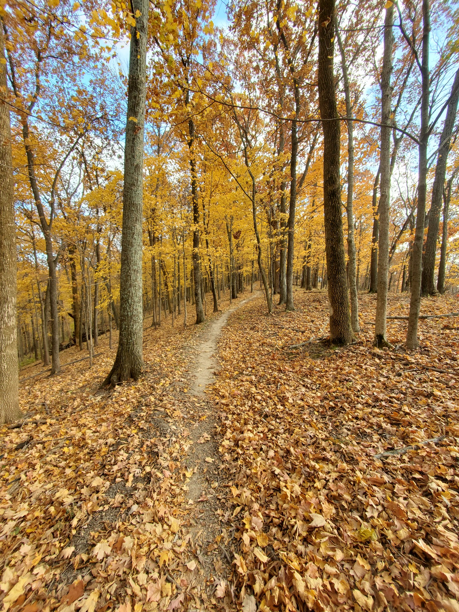 Dr. Edmund A. Babler Memorial State Park Campground