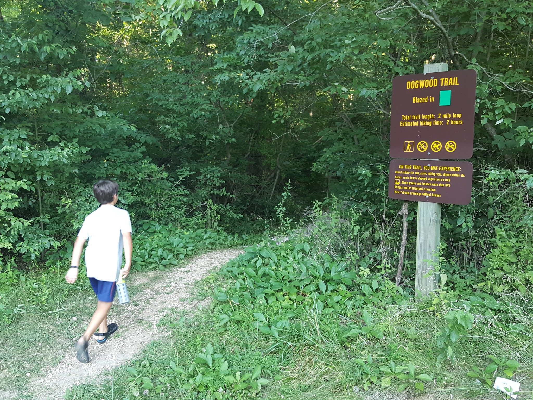 Dr. Edmund A. Babler Memorial State Park Campground