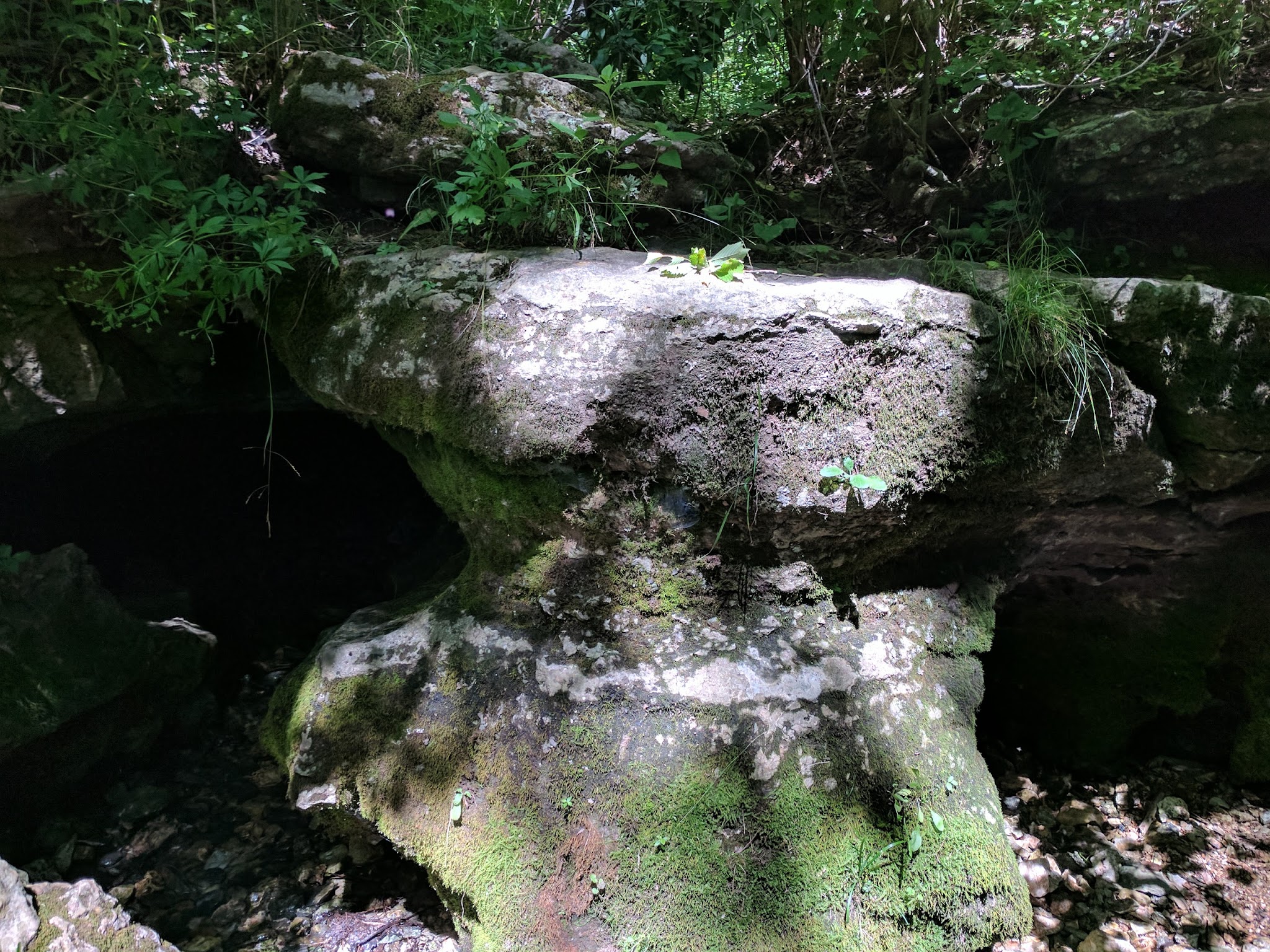 Dr. Edmund A. Babler Memorial State Park Campground