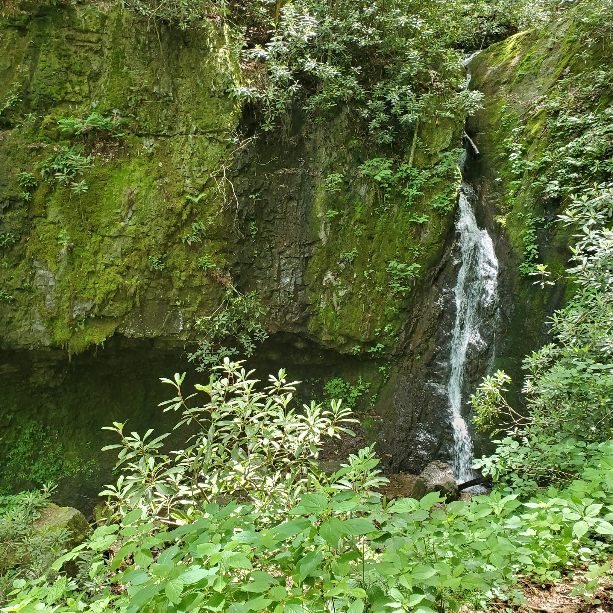Backbone Rock Campground