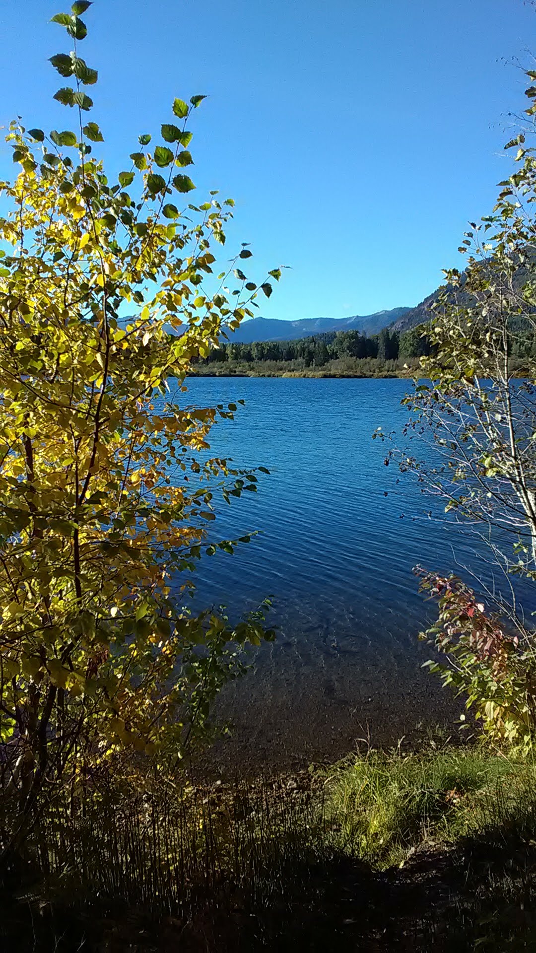 Bad Medicine Campground