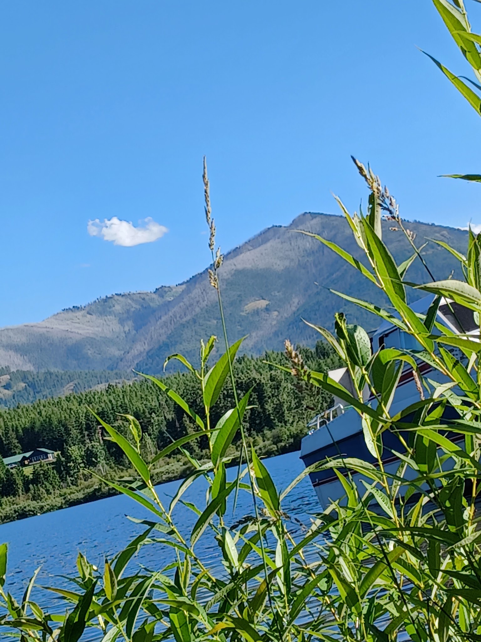 Bad Medicine Campground