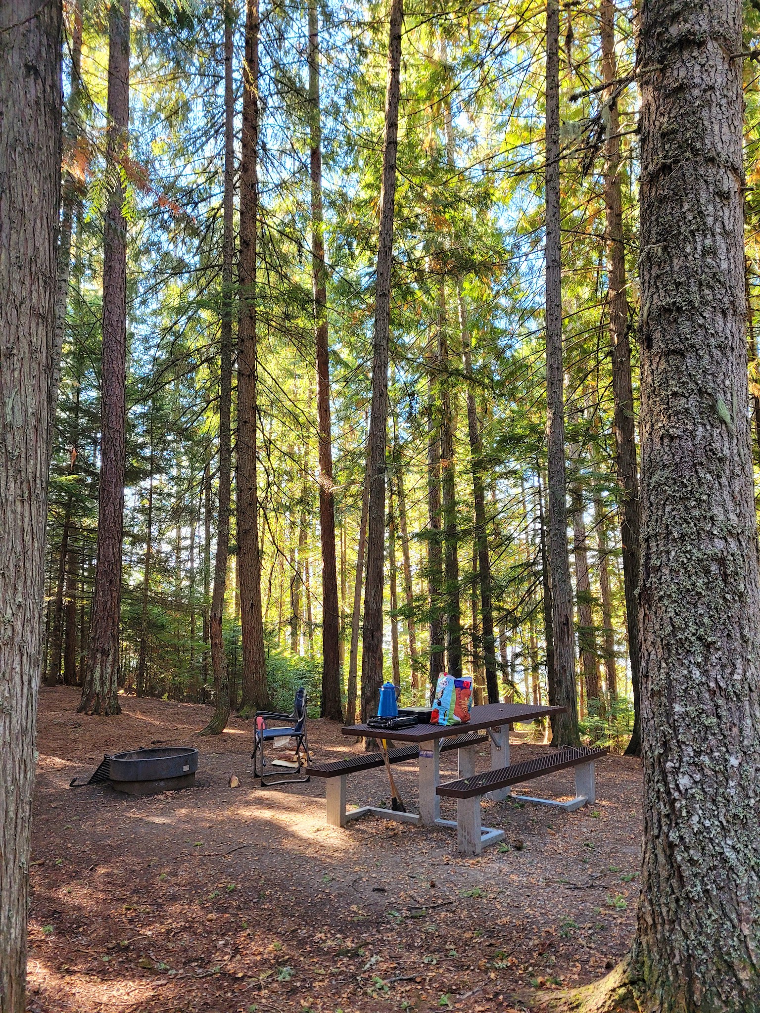 Bad Medicine Campground