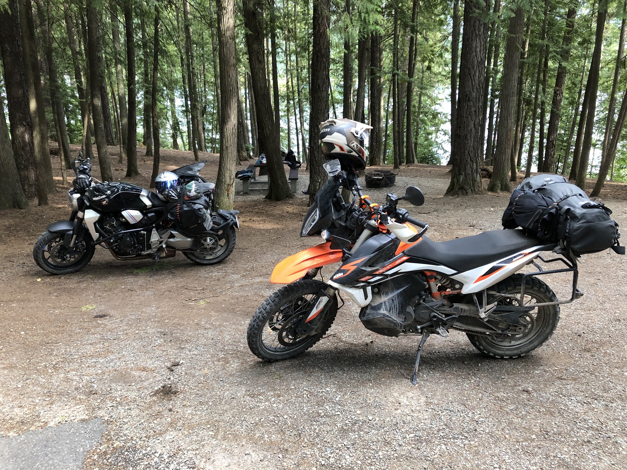 Bad Medicine Campground