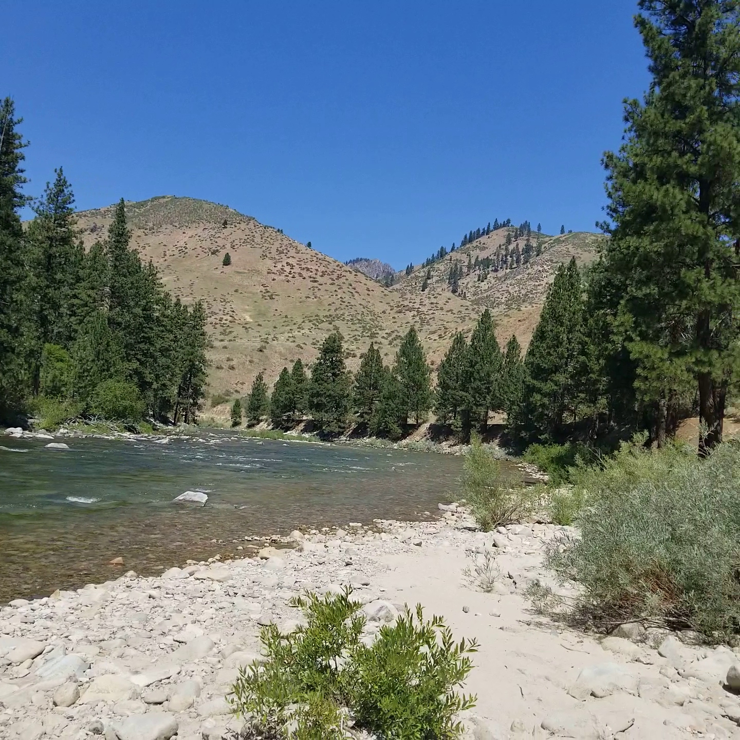 Badger Creek Campground