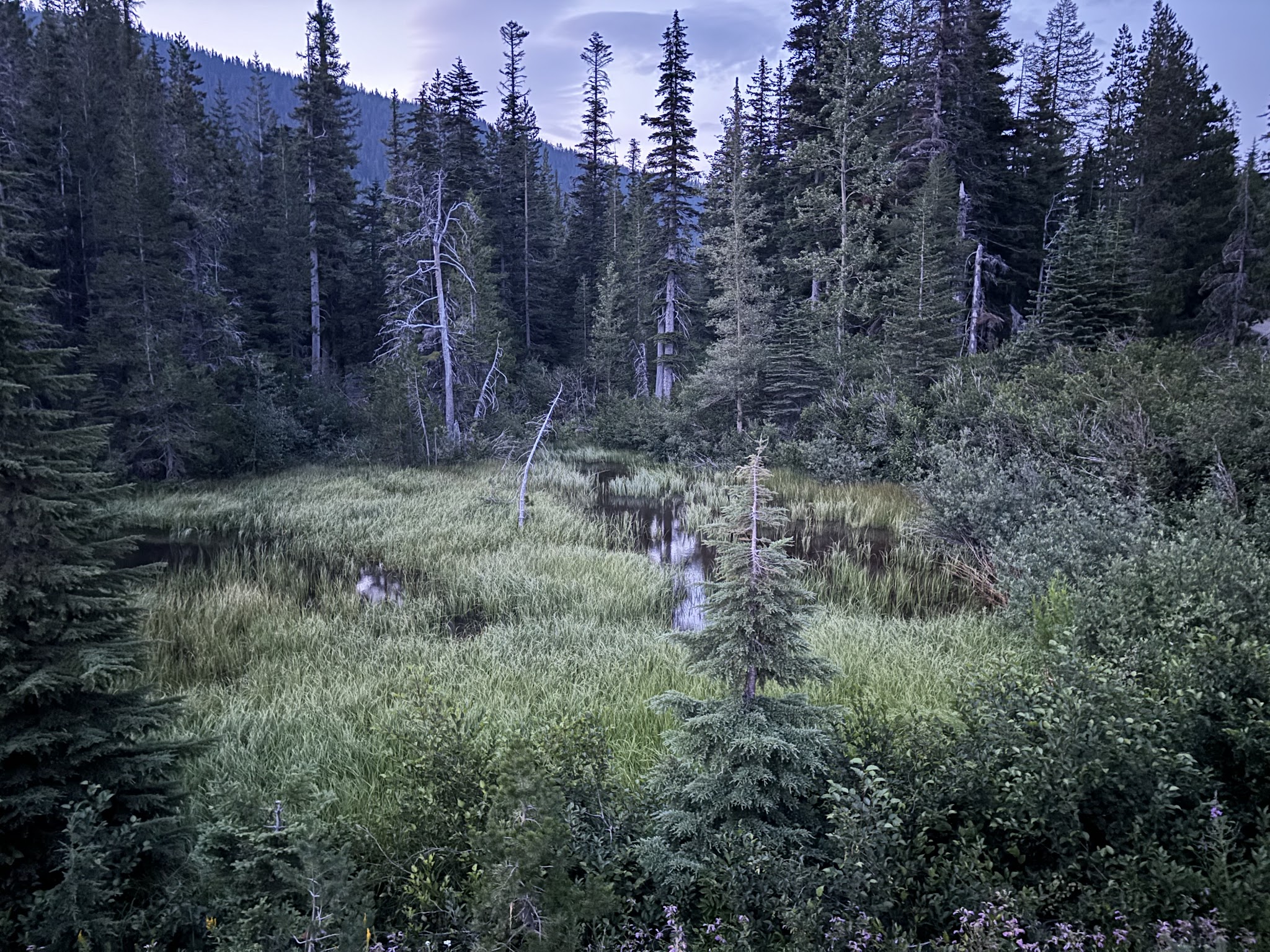 Badger Lake Campground