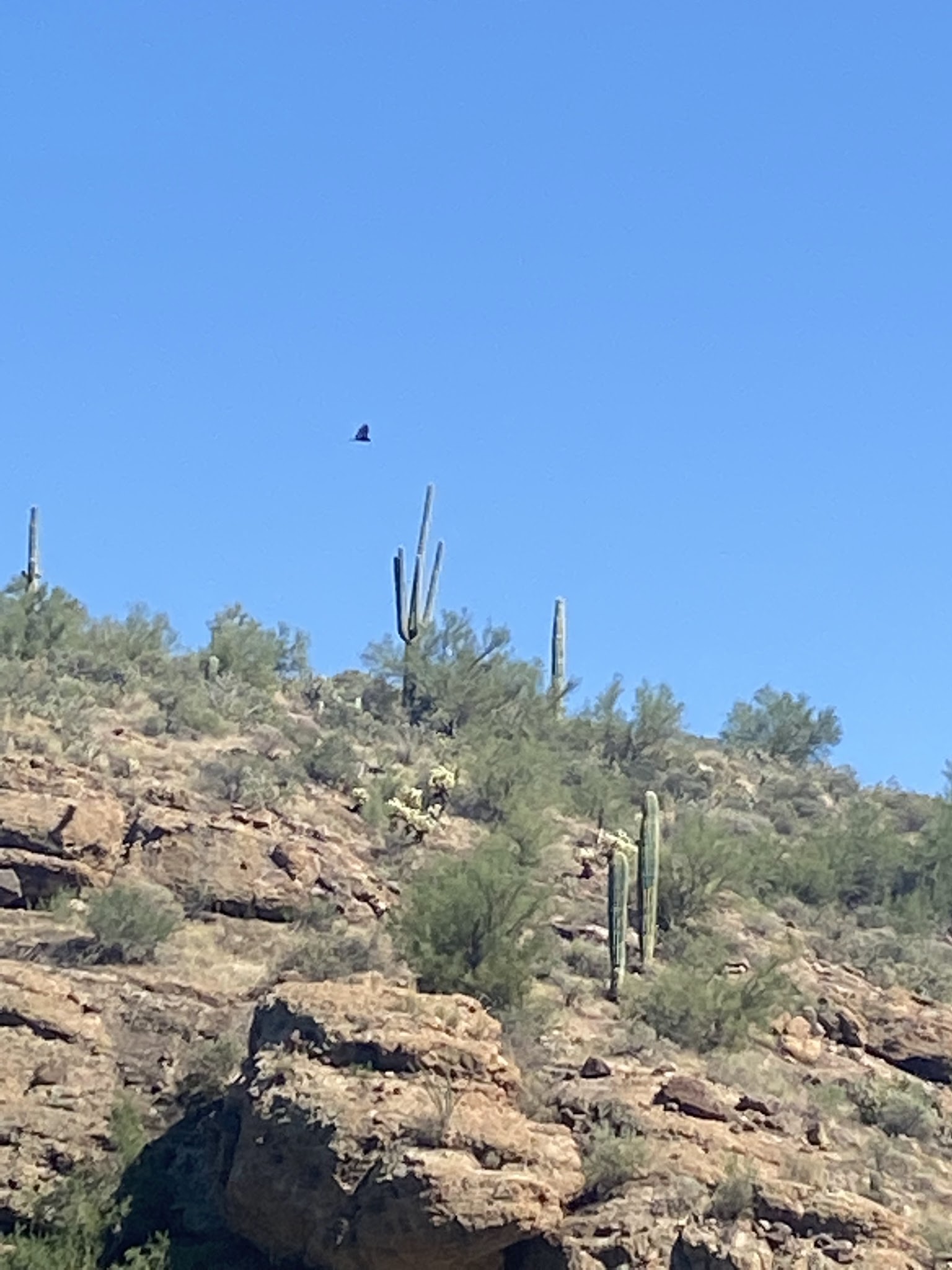 Bagley Flat Campground And Boat Dock