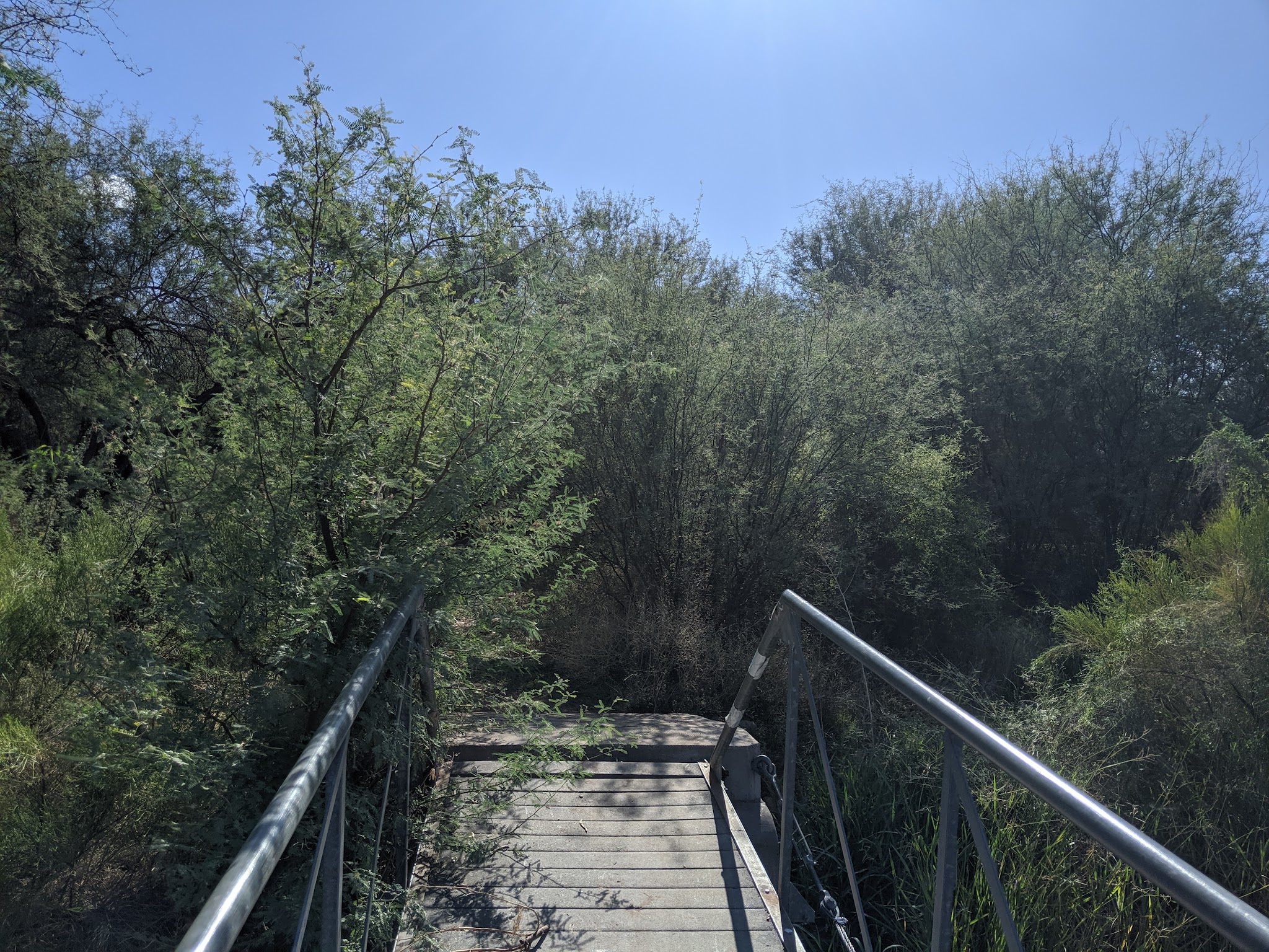 Bagley Flat Campground And Boat Dock