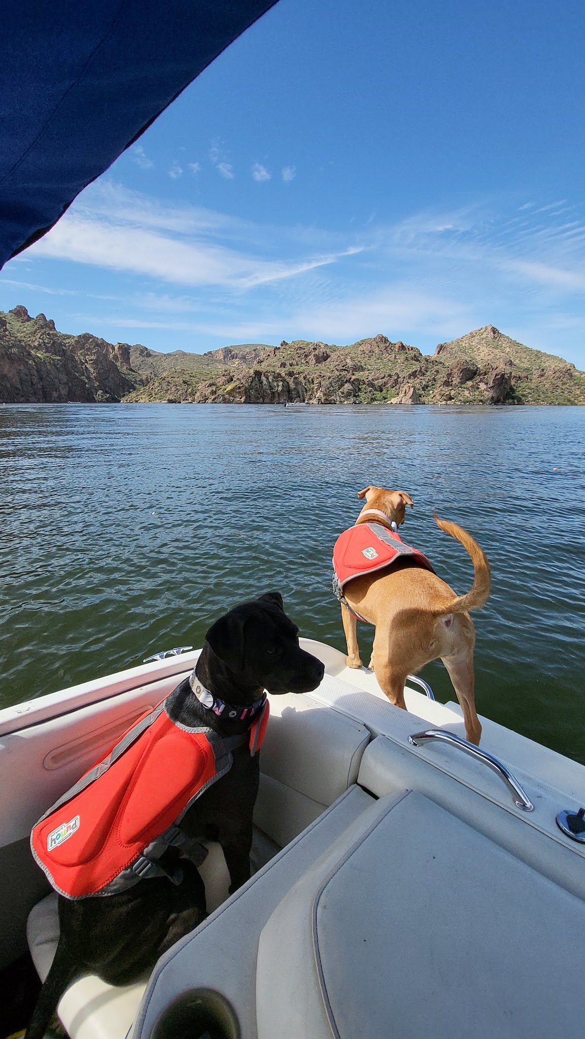 Bagley Flat Campground And Boat Dock