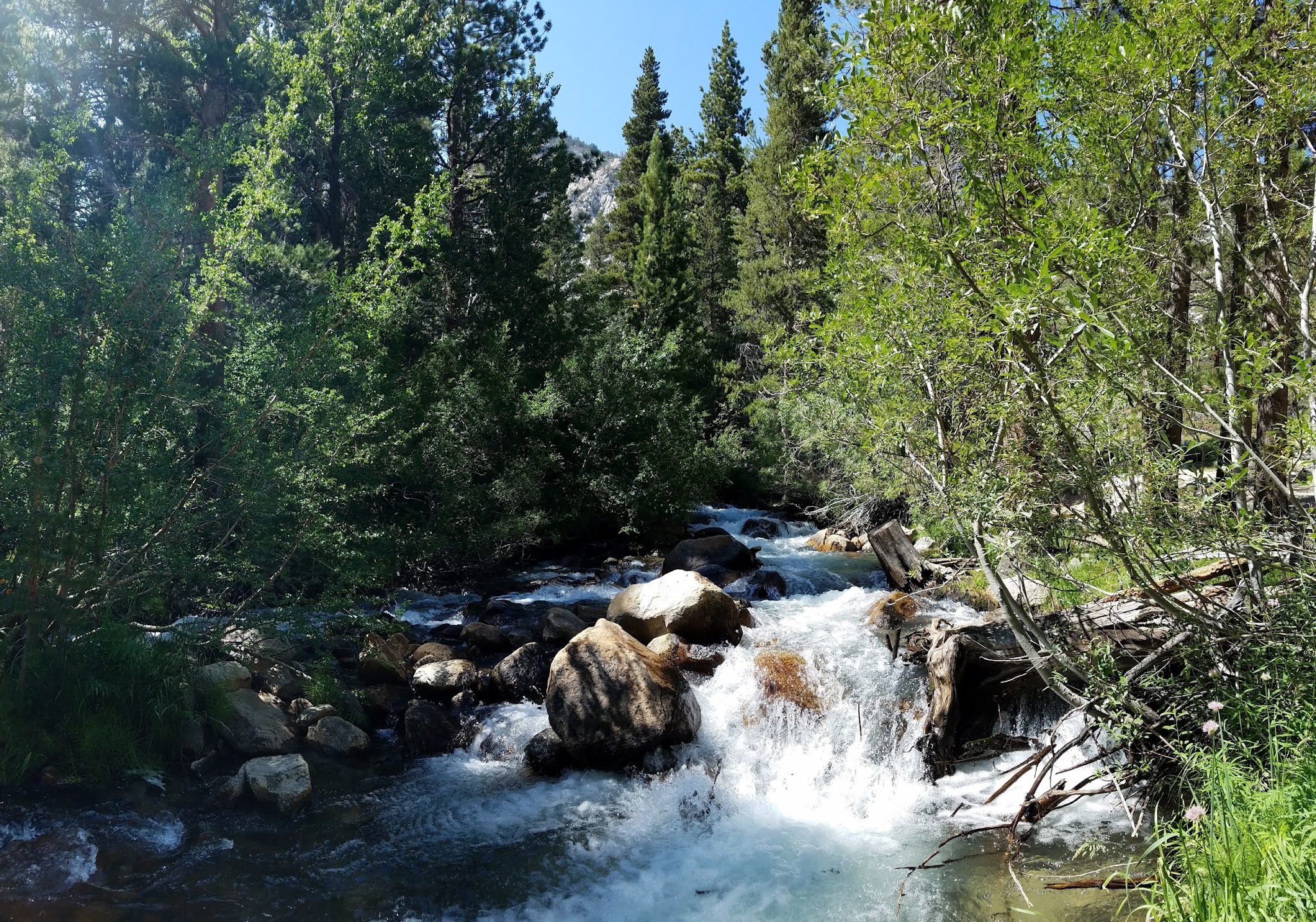 Baker Creek Campground