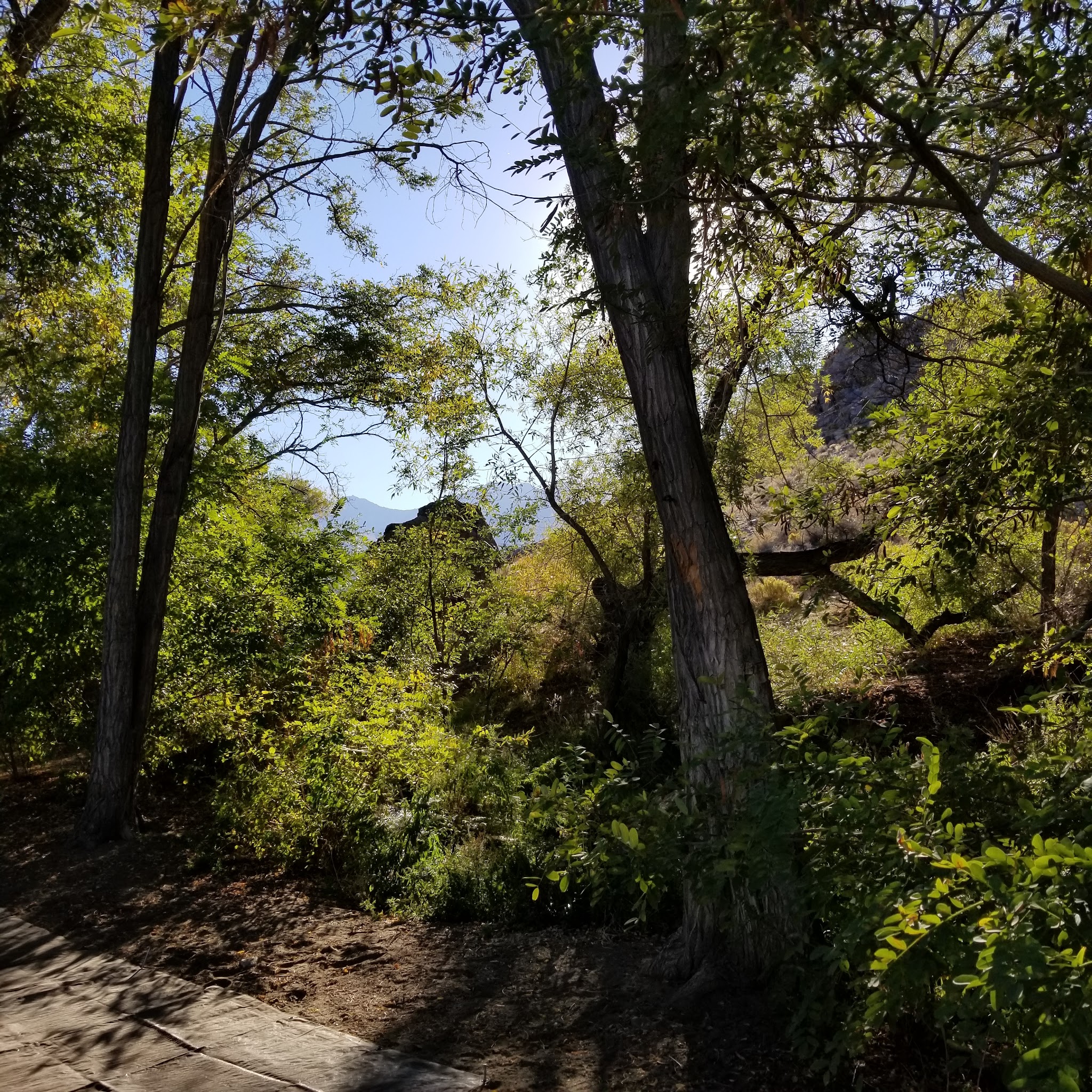 Baker Creek Campground