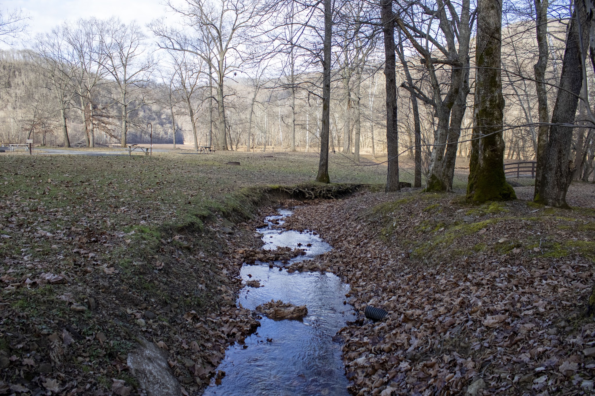 Bakers Run Campground