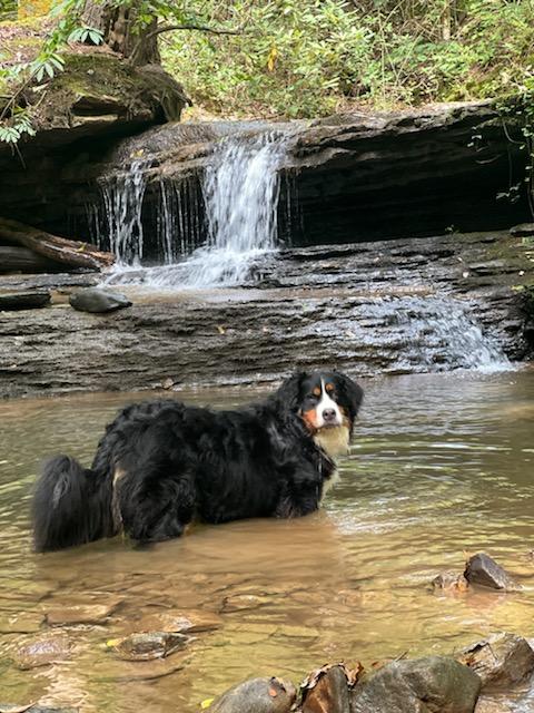 Bakers Run Campground