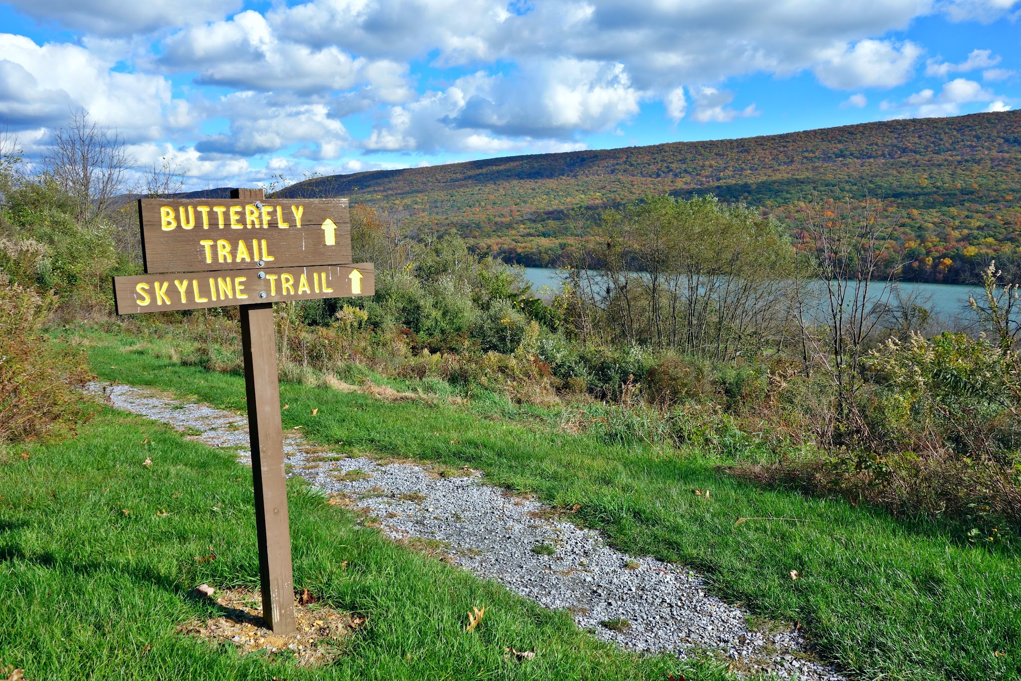 The Nature Inn At Bald Eagle