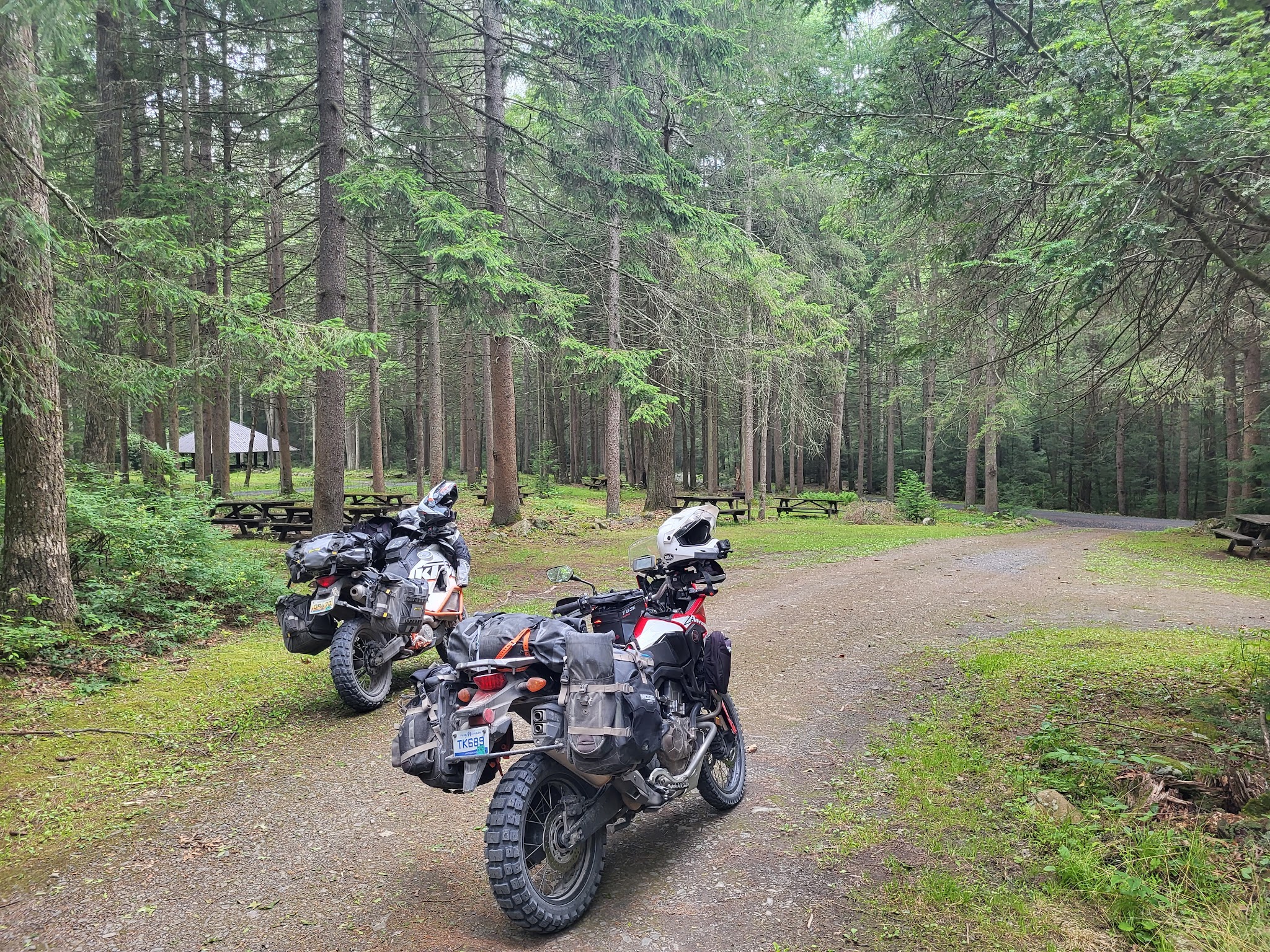 Bald Eagle State Forest