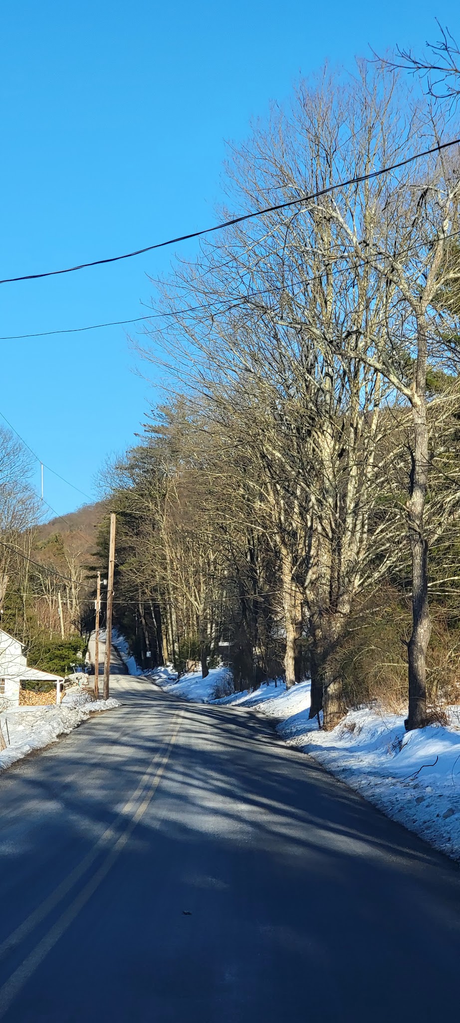 Bald Eagle State Forest