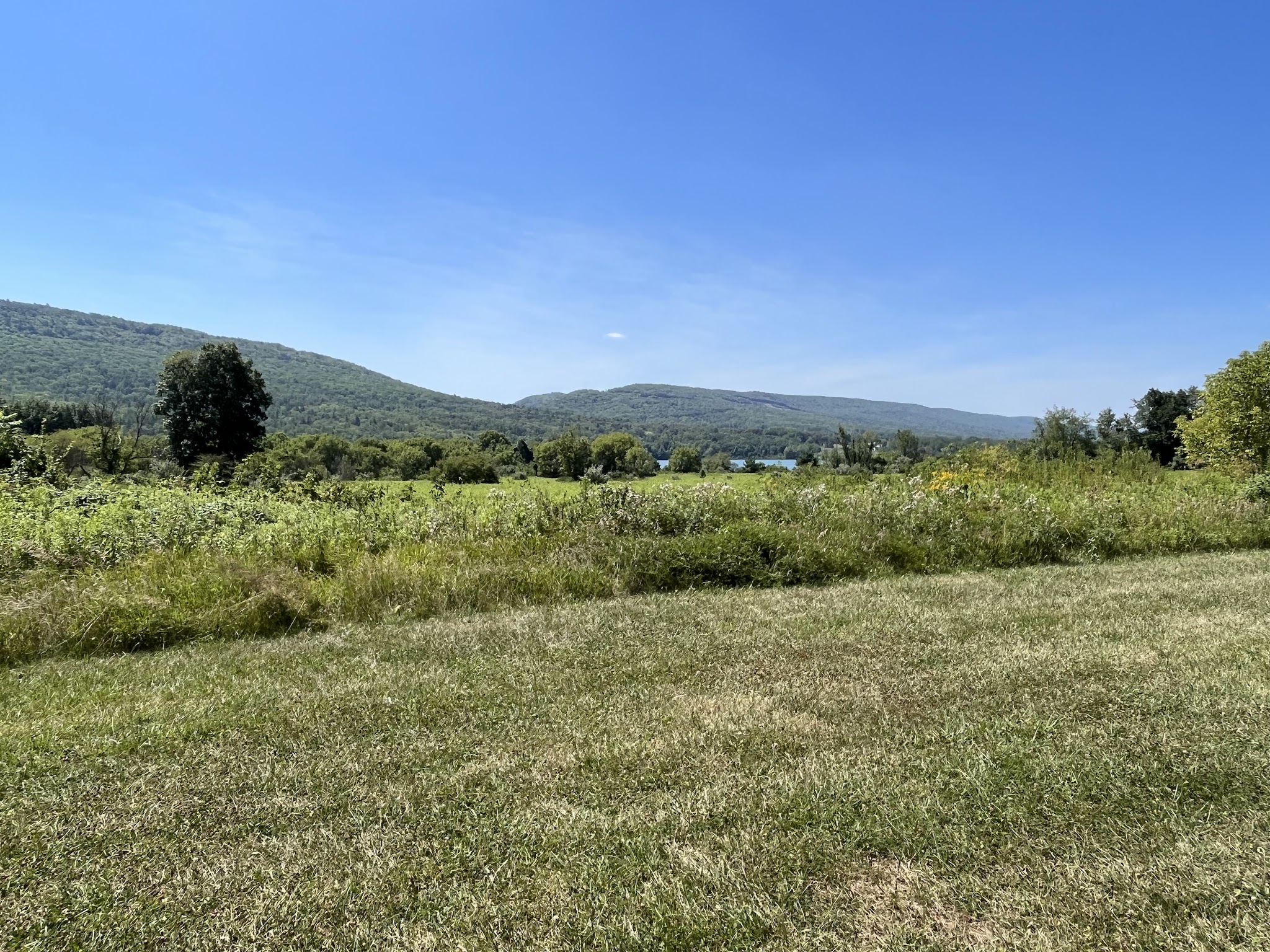 Bald Eagle State Park