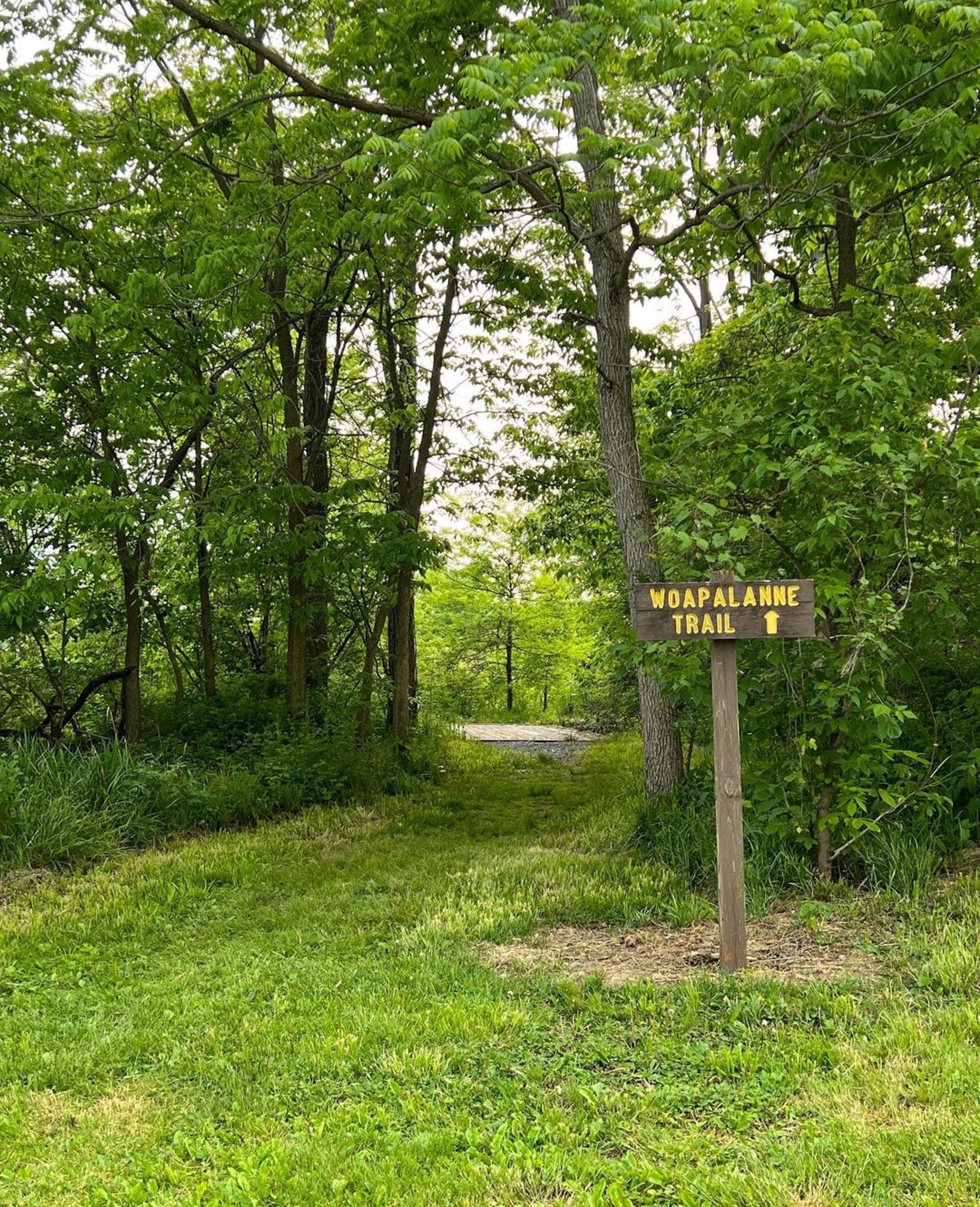 Bald Eagle State Park