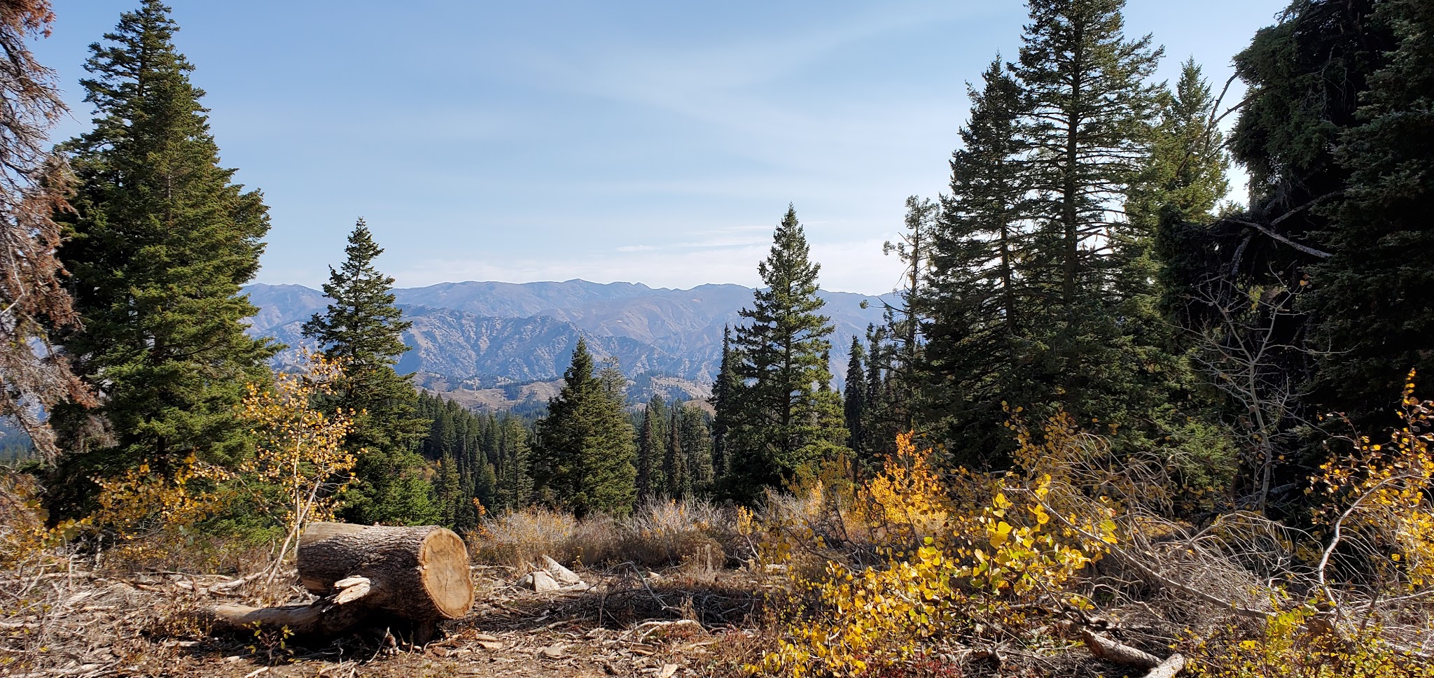 Bald Mountain Campground