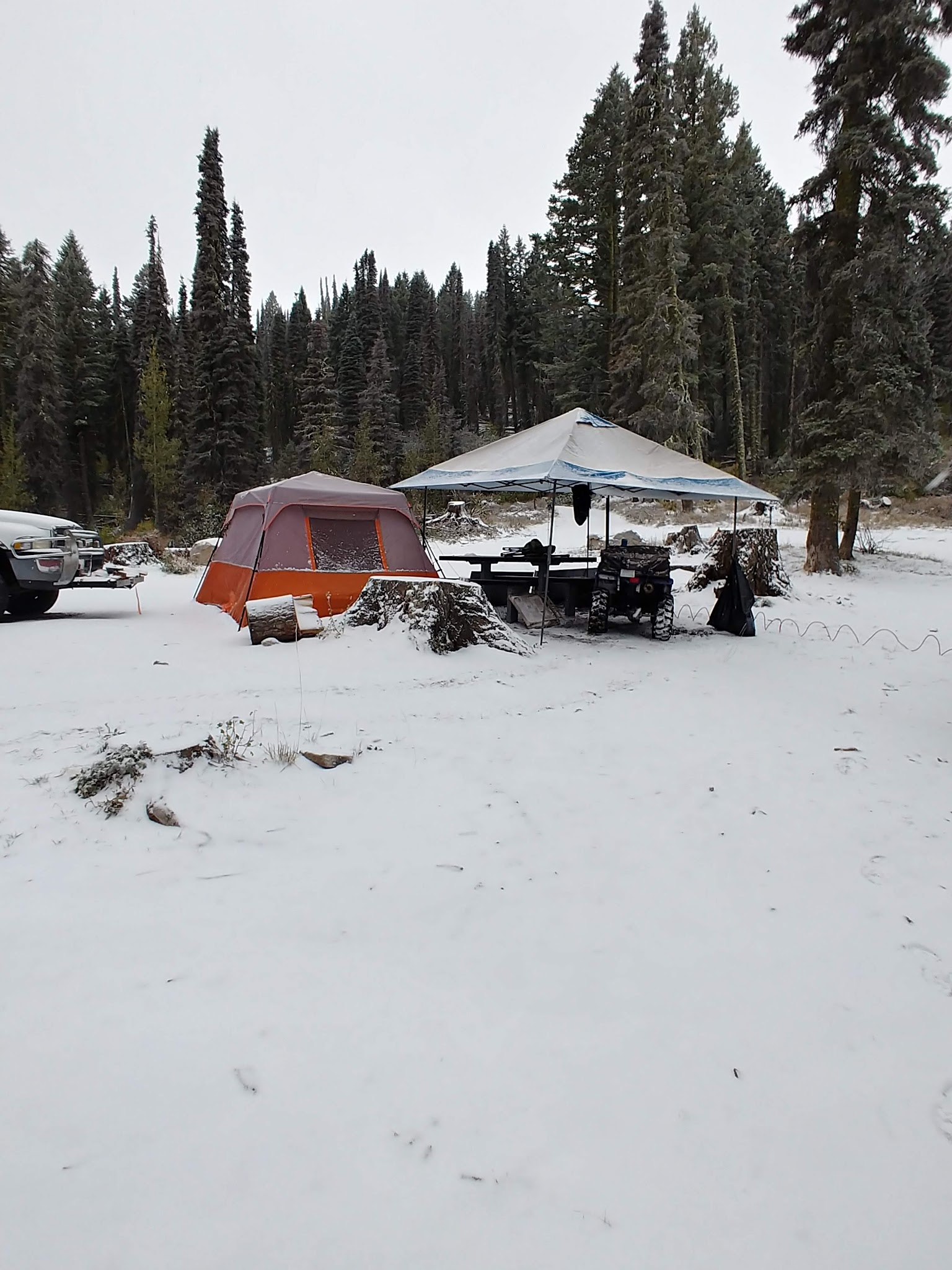 Bald Mountain Campground