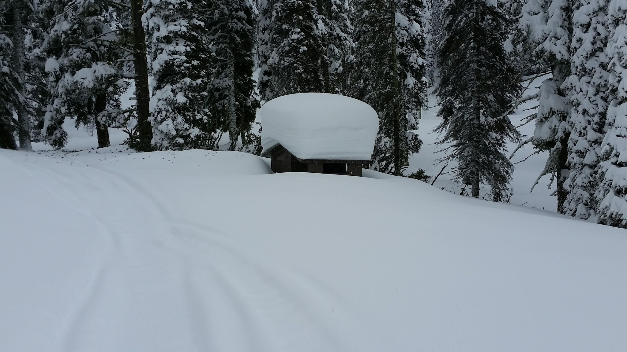Bald Mountain Campground