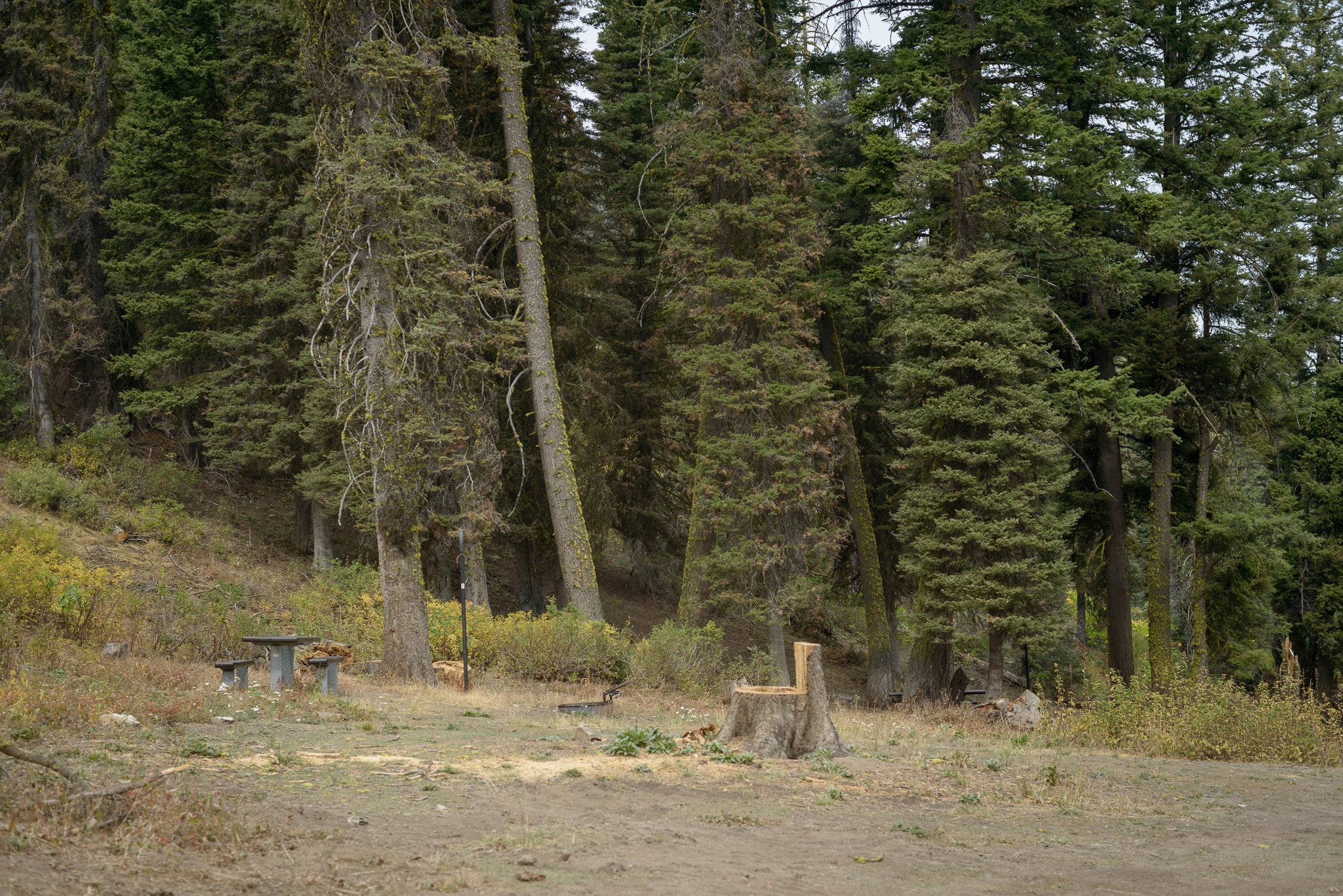 Bald Mountain Campground