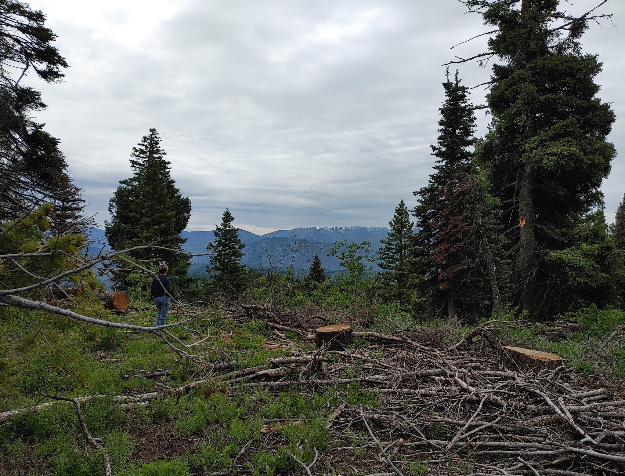 Bald Mountain Campground