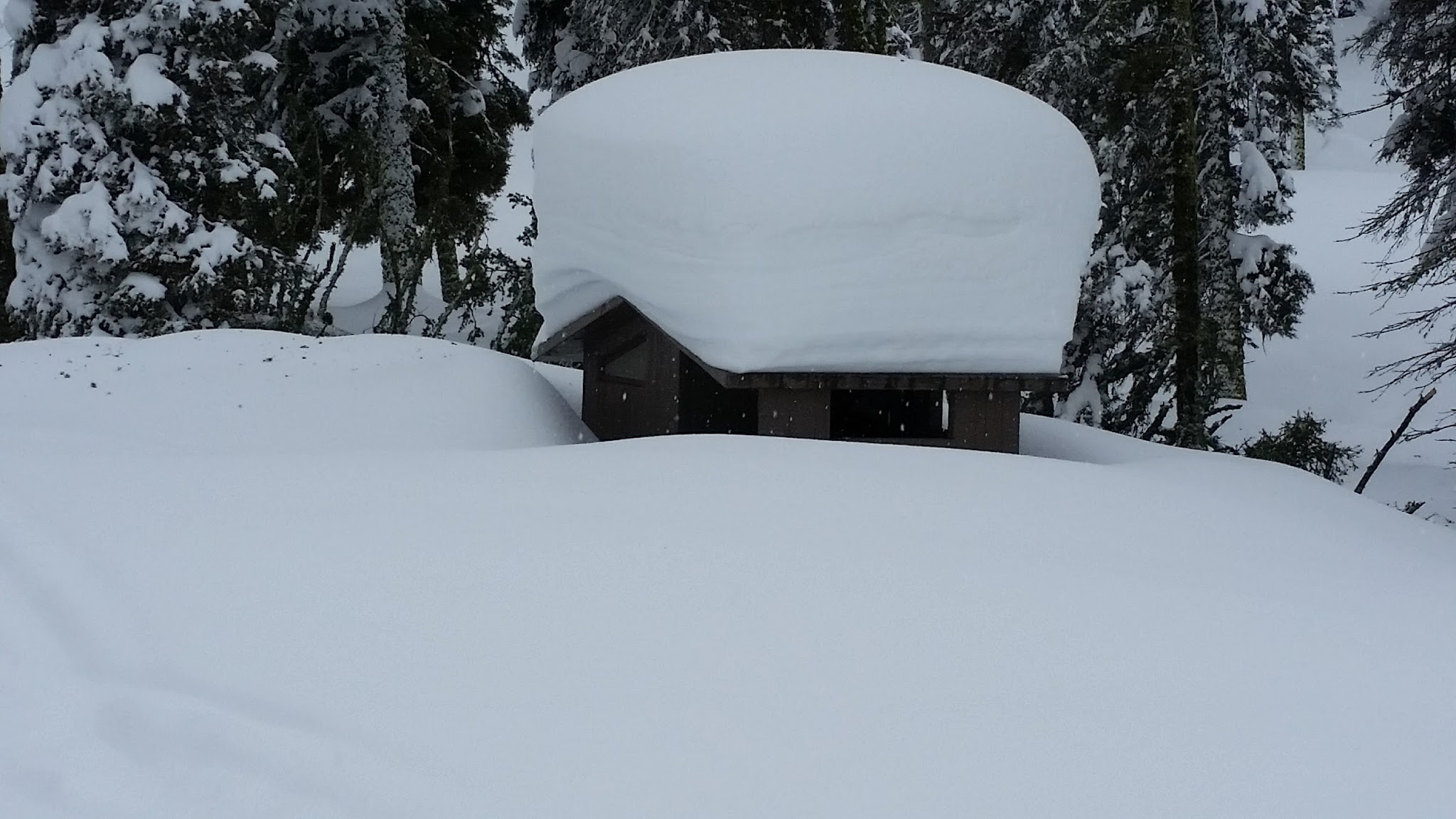 Bald Mountain Campground