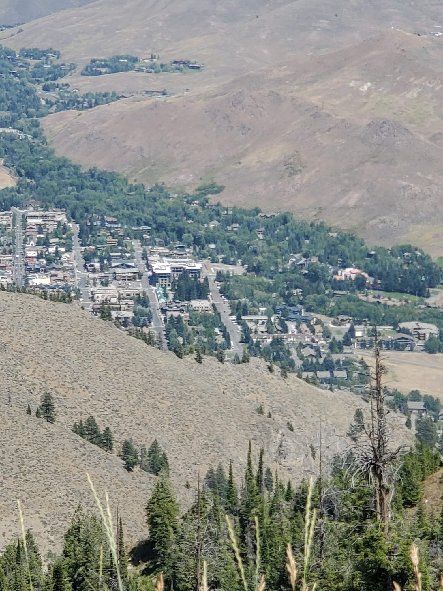 Bald Mountain Campground