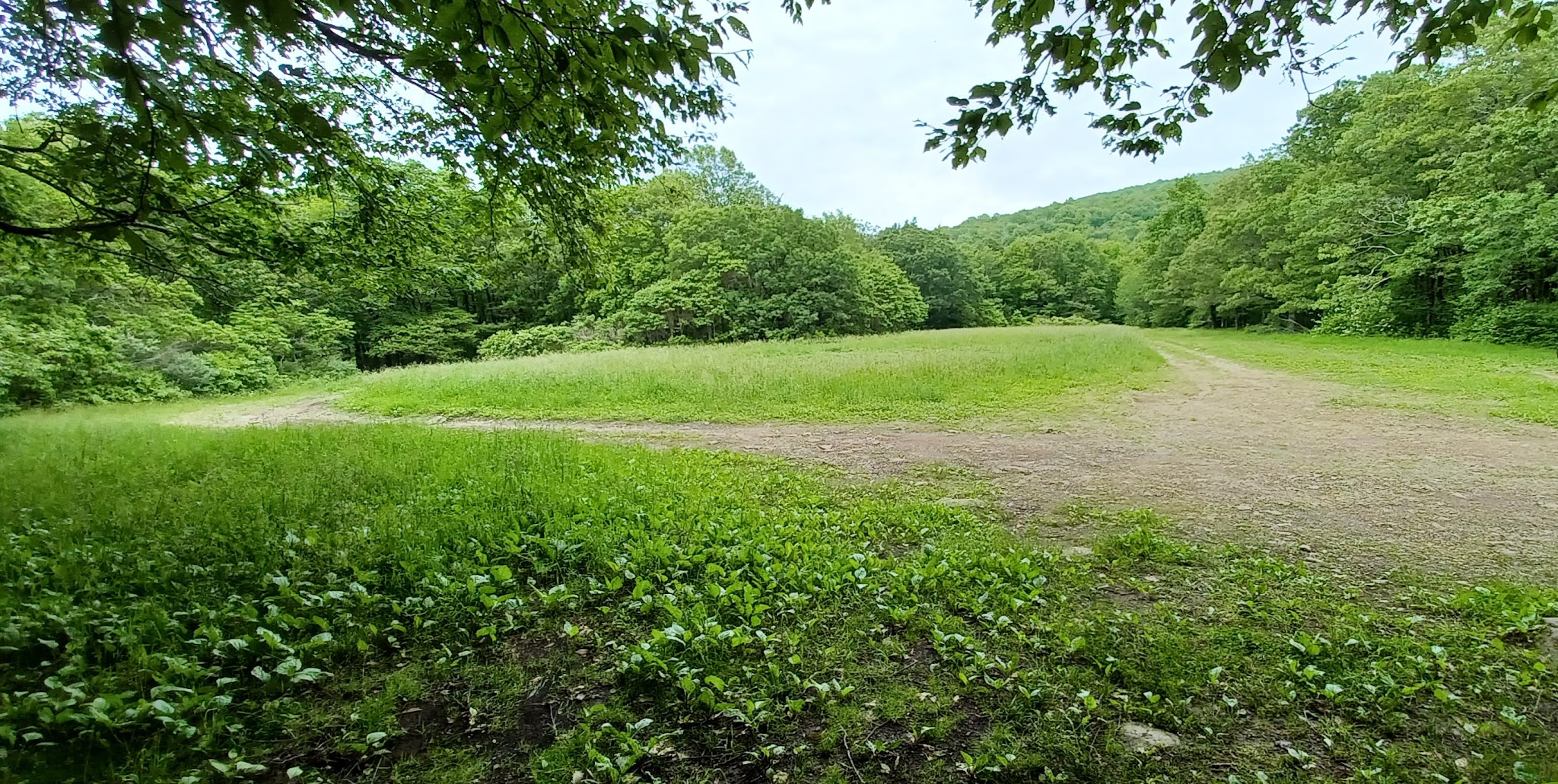 Ball Field Dispersed Camping Area