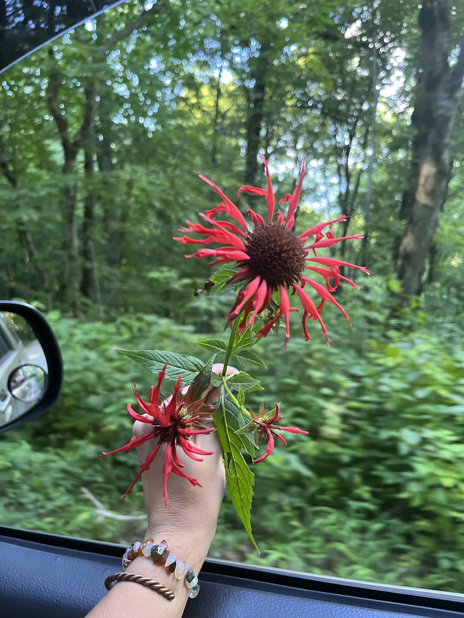 Ball Field Dispersed Camping Area