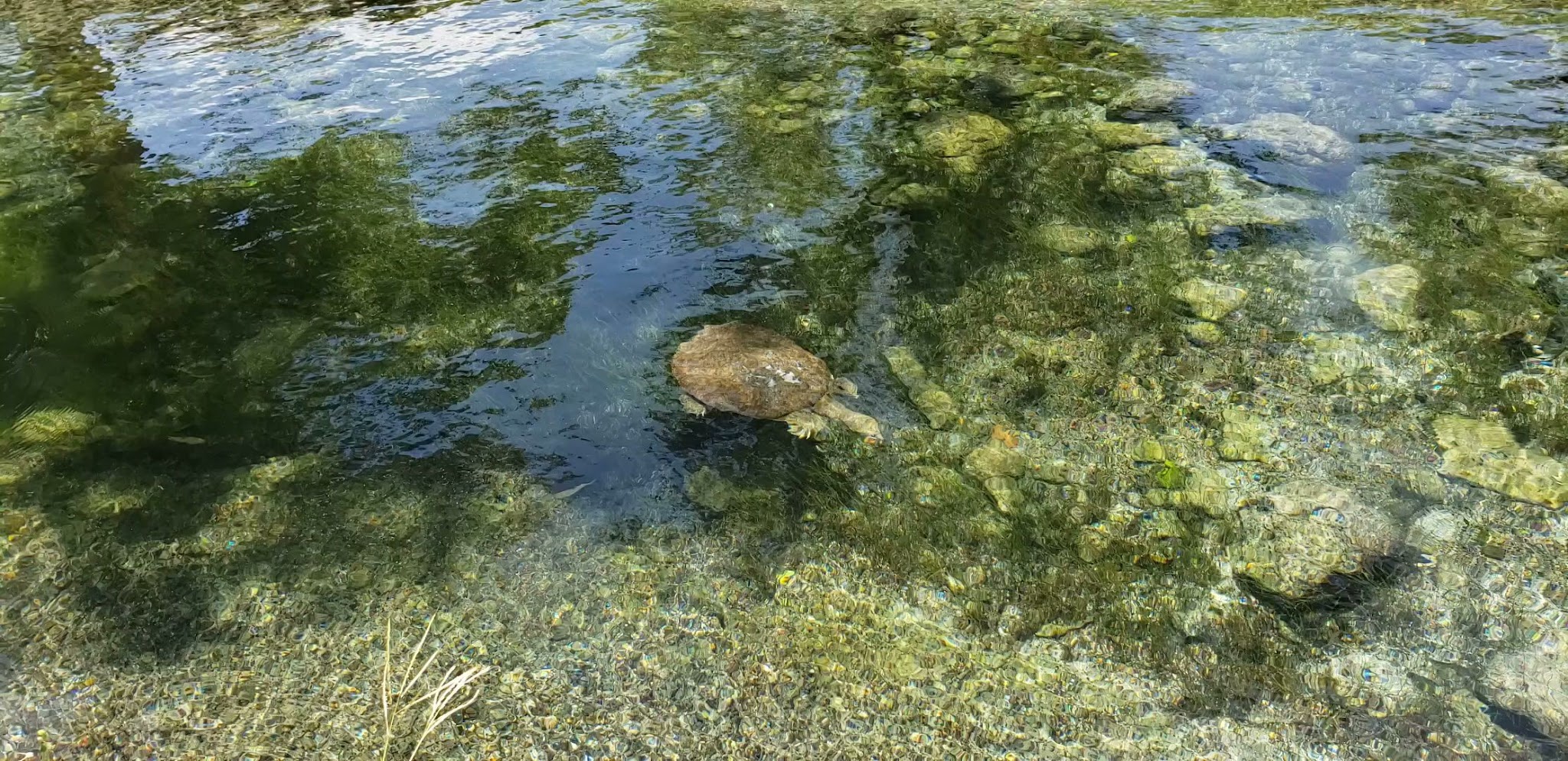 Balmorhea State Park