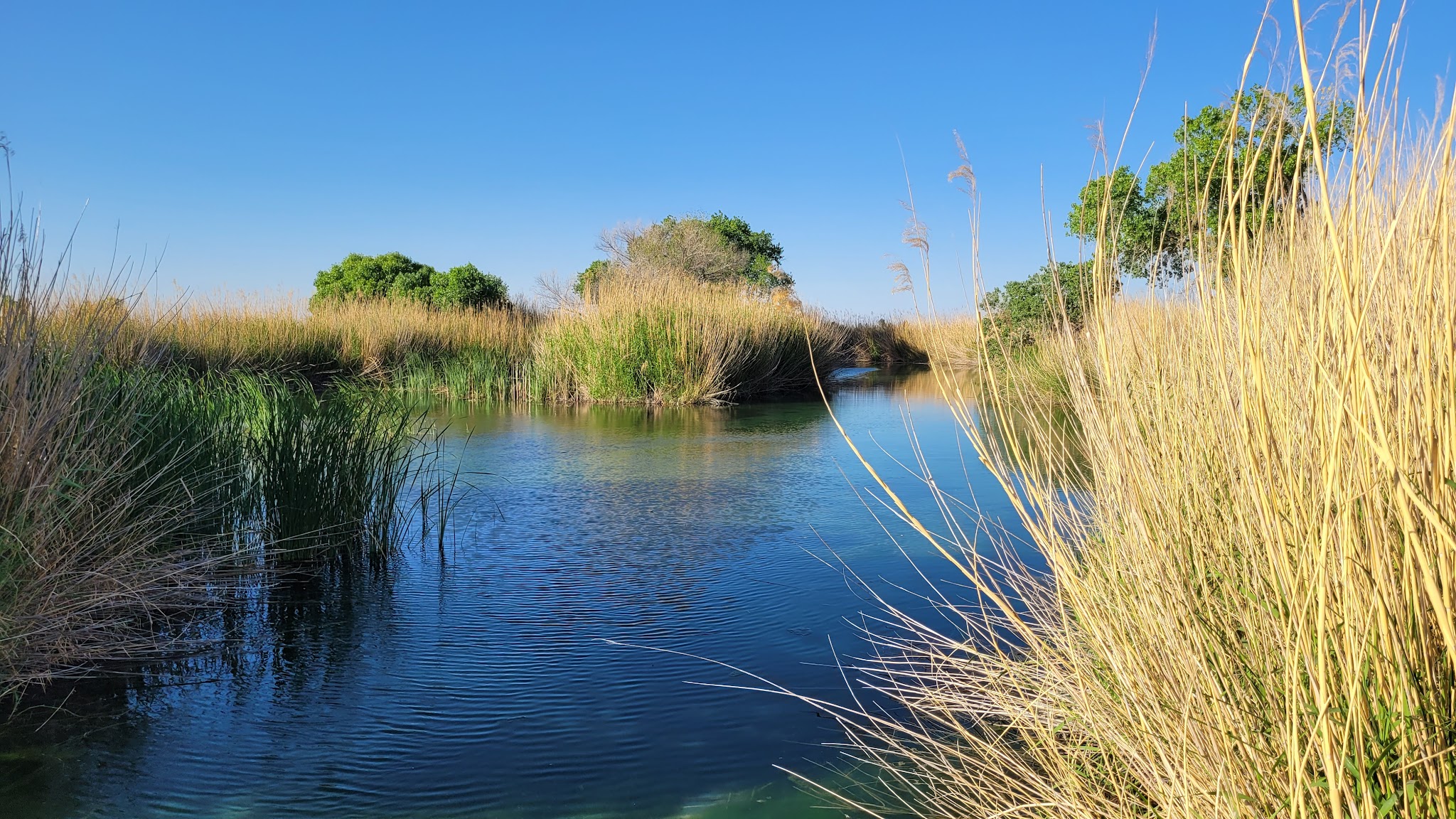 Balmorhea State Park