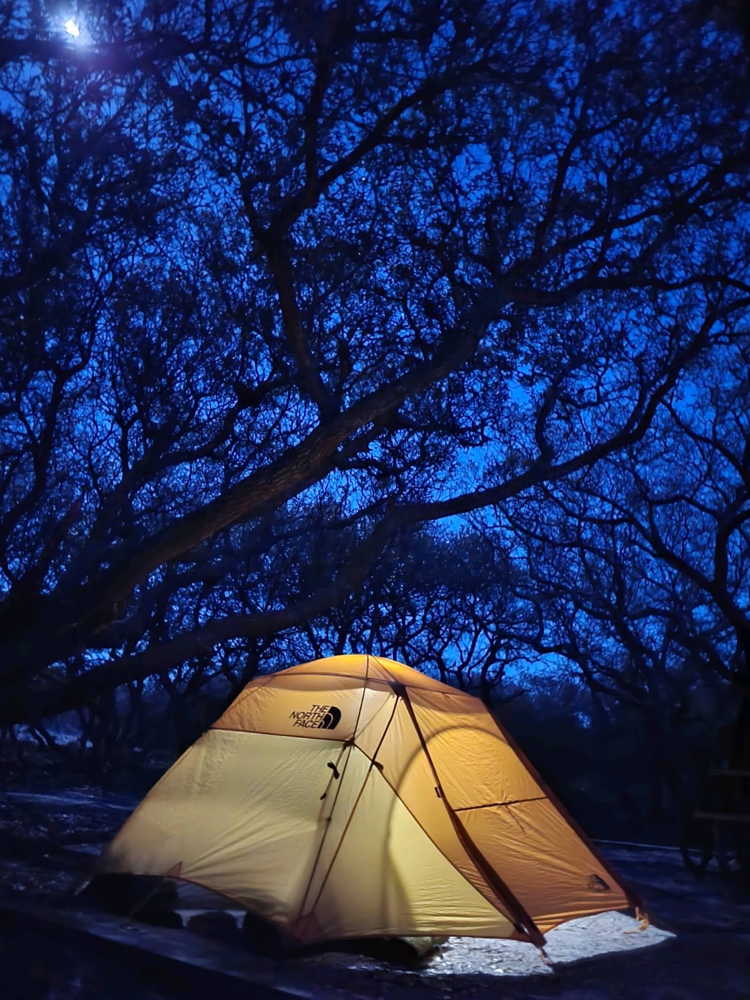 Barbour Hill Oceanside Campground
