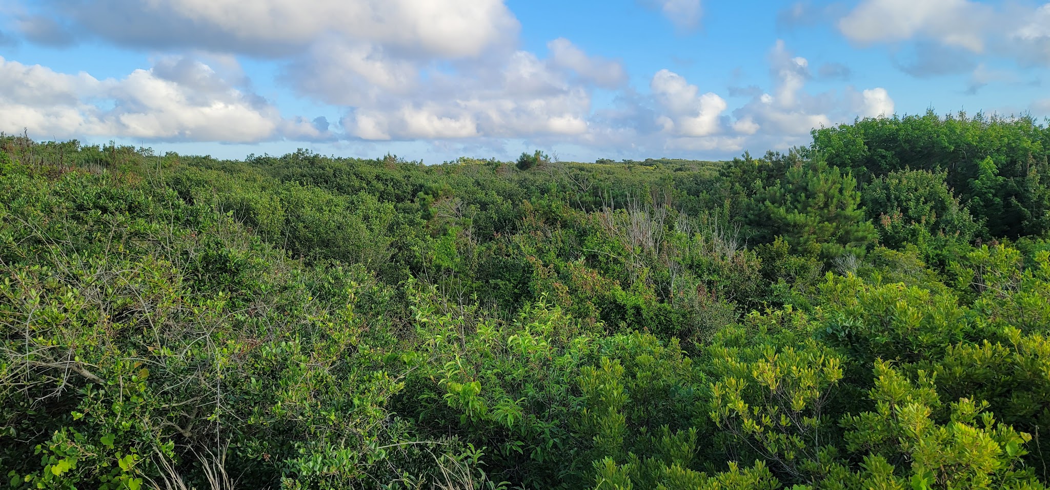 Barbour Hill Oceanside Campground